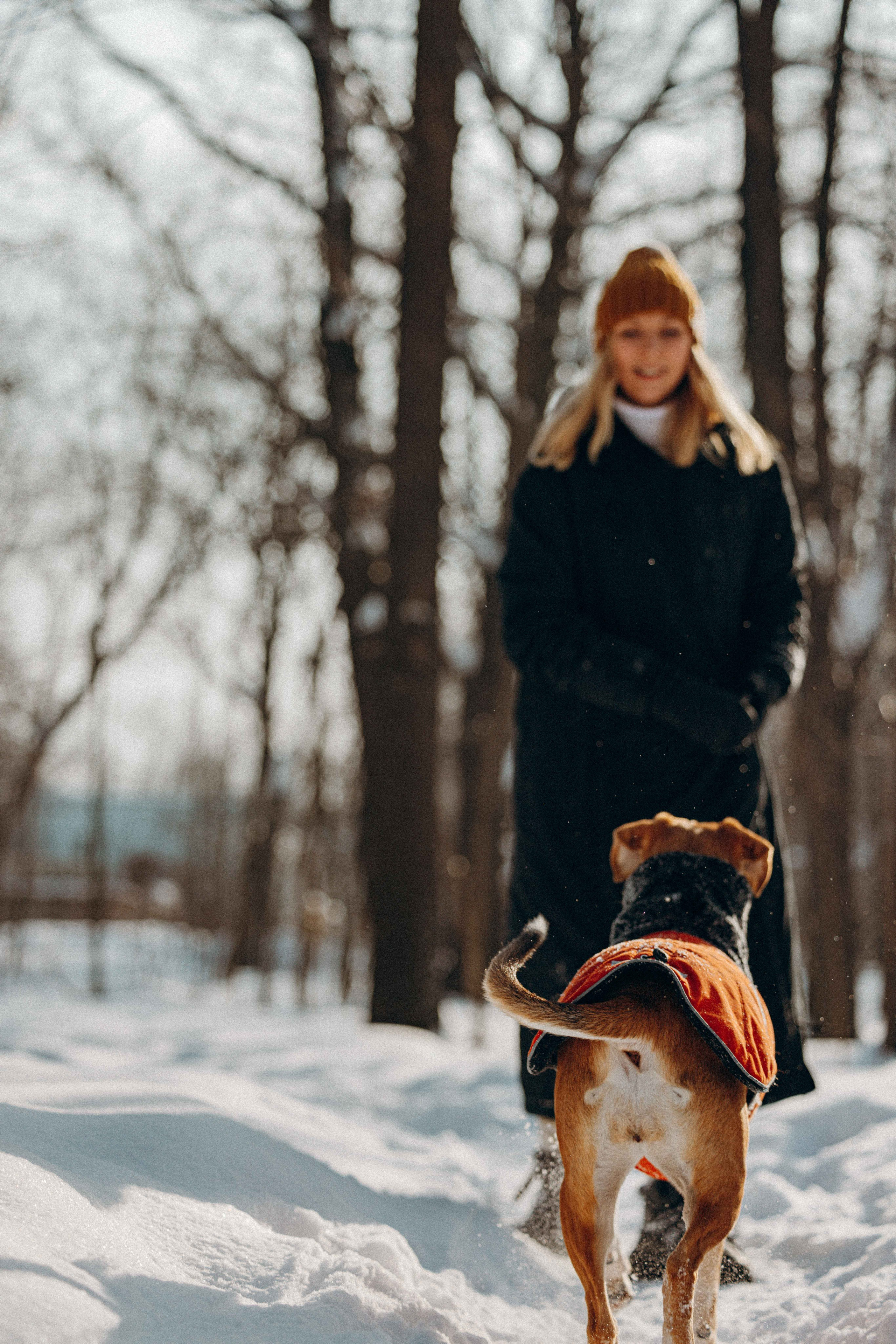 Свобода и ее семья. Фотограф-анималист в Москве Лера Черноног