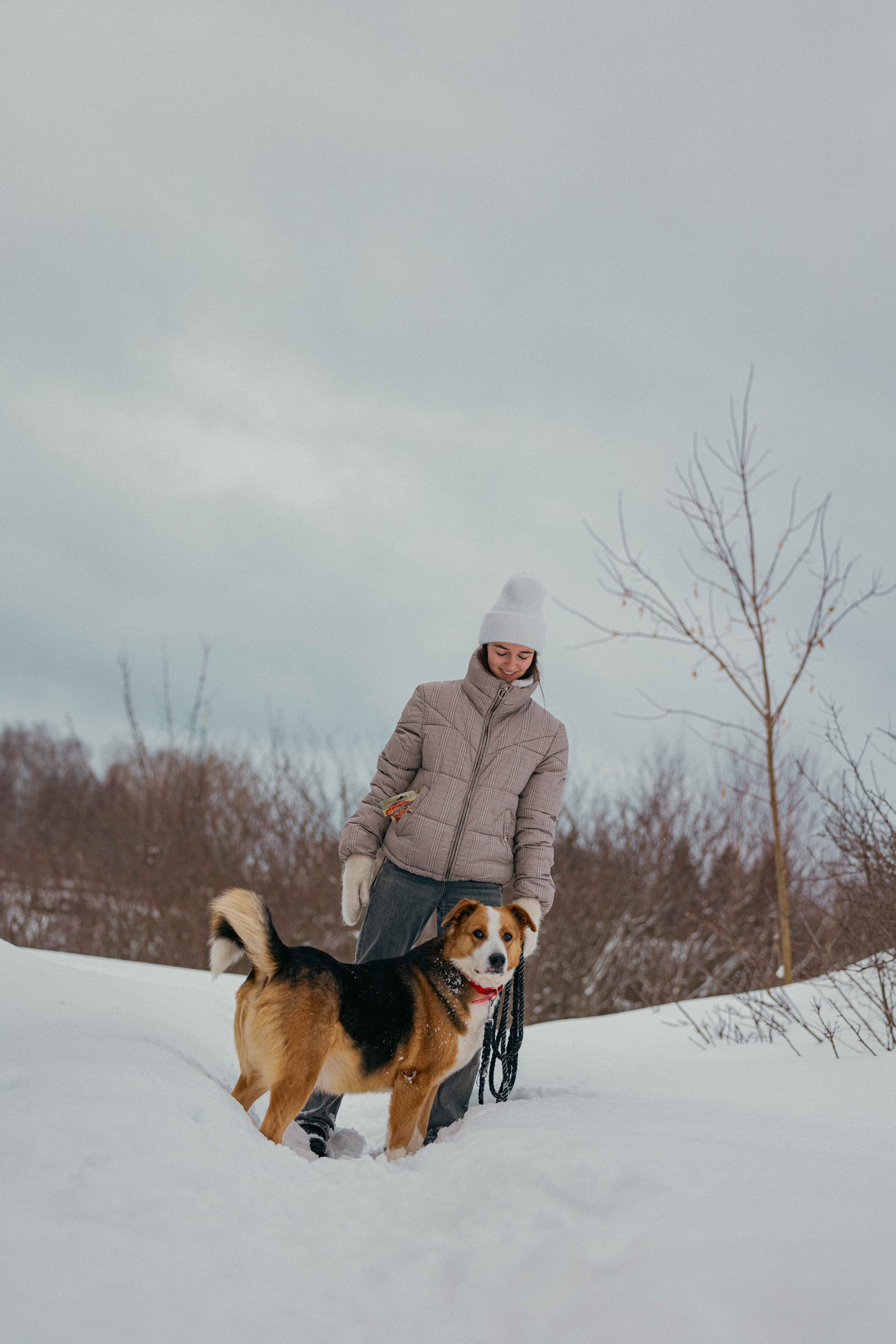 Петя. Фотограф-анималист в Москве Лера Черноног