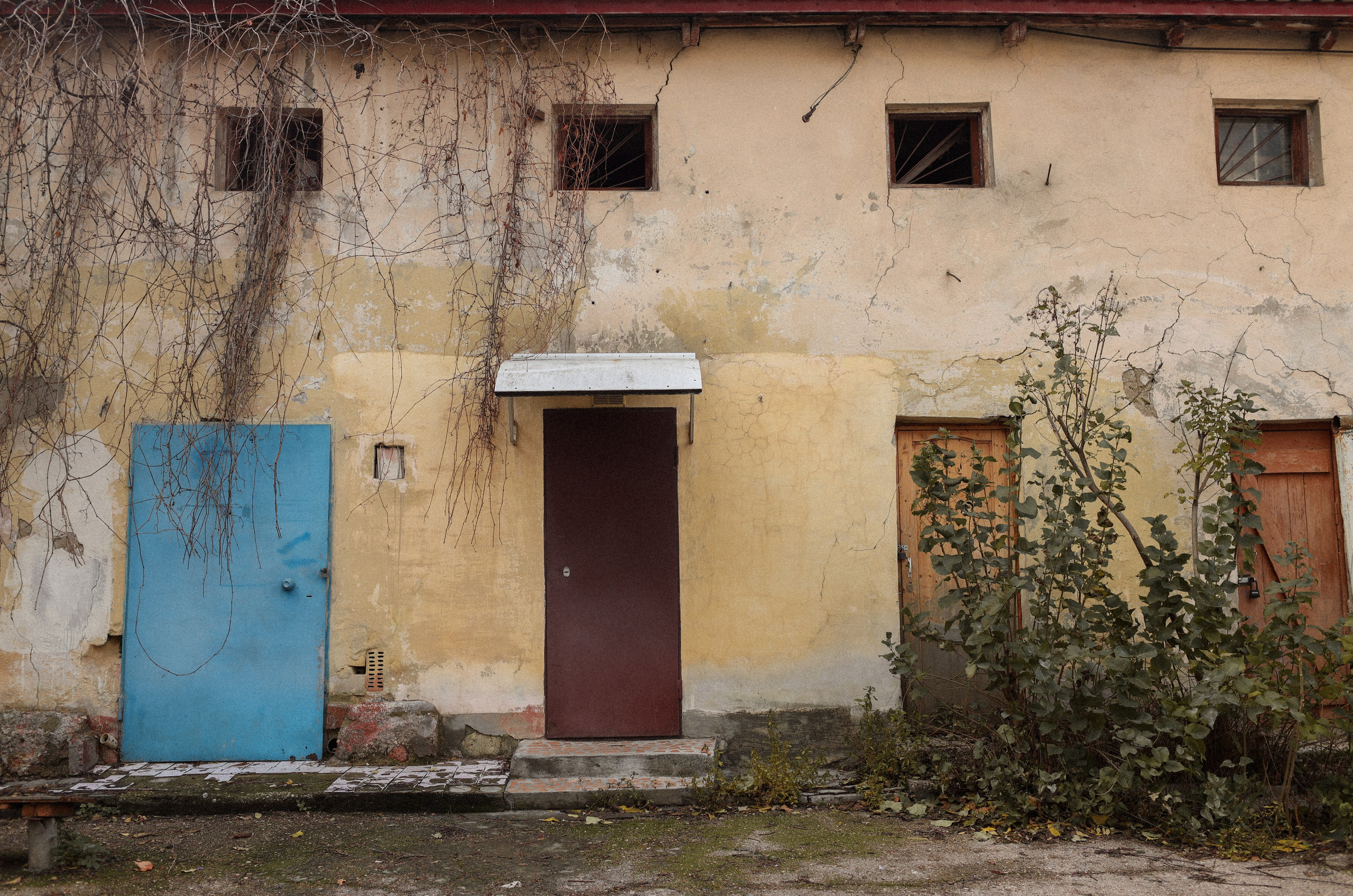 Любить. Фотограф Воронцова Виталия Крым Севастополь