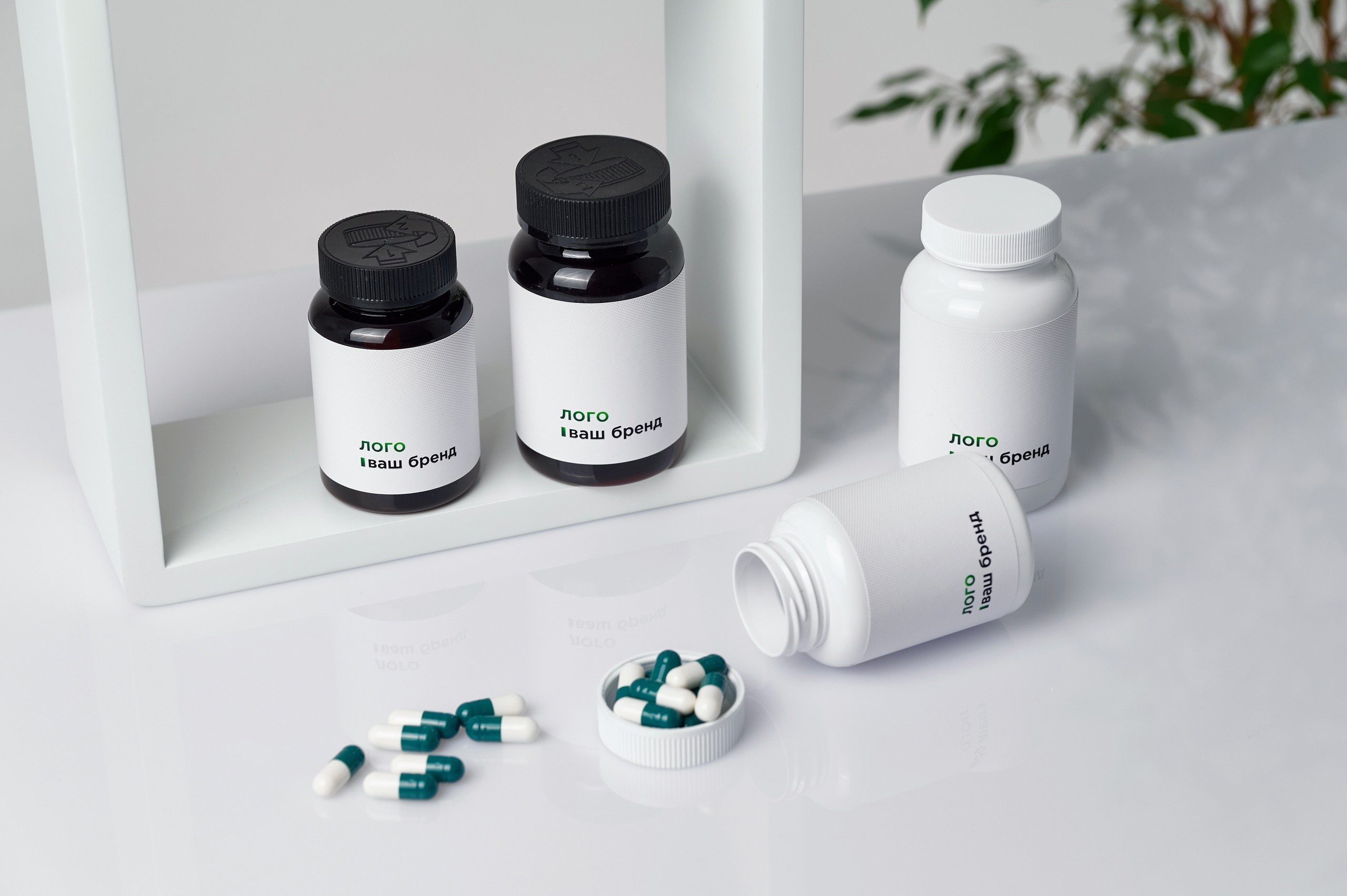 Общее портфолио. Фотограф Опыт Качество Скорость Горный Алтай Барнаул