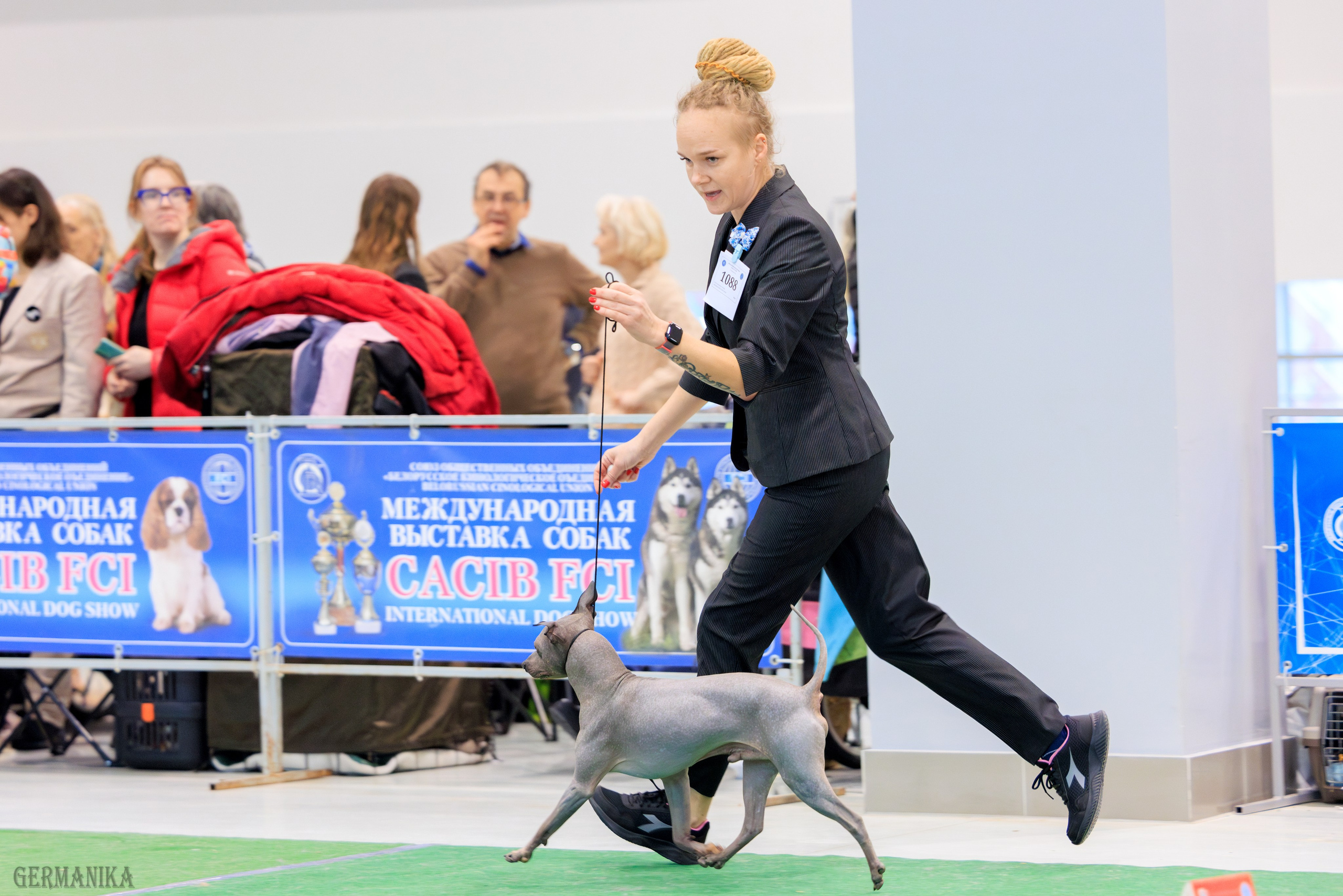 Минск 24-25.02.2024. Фотограф-анималист Юлия Германика