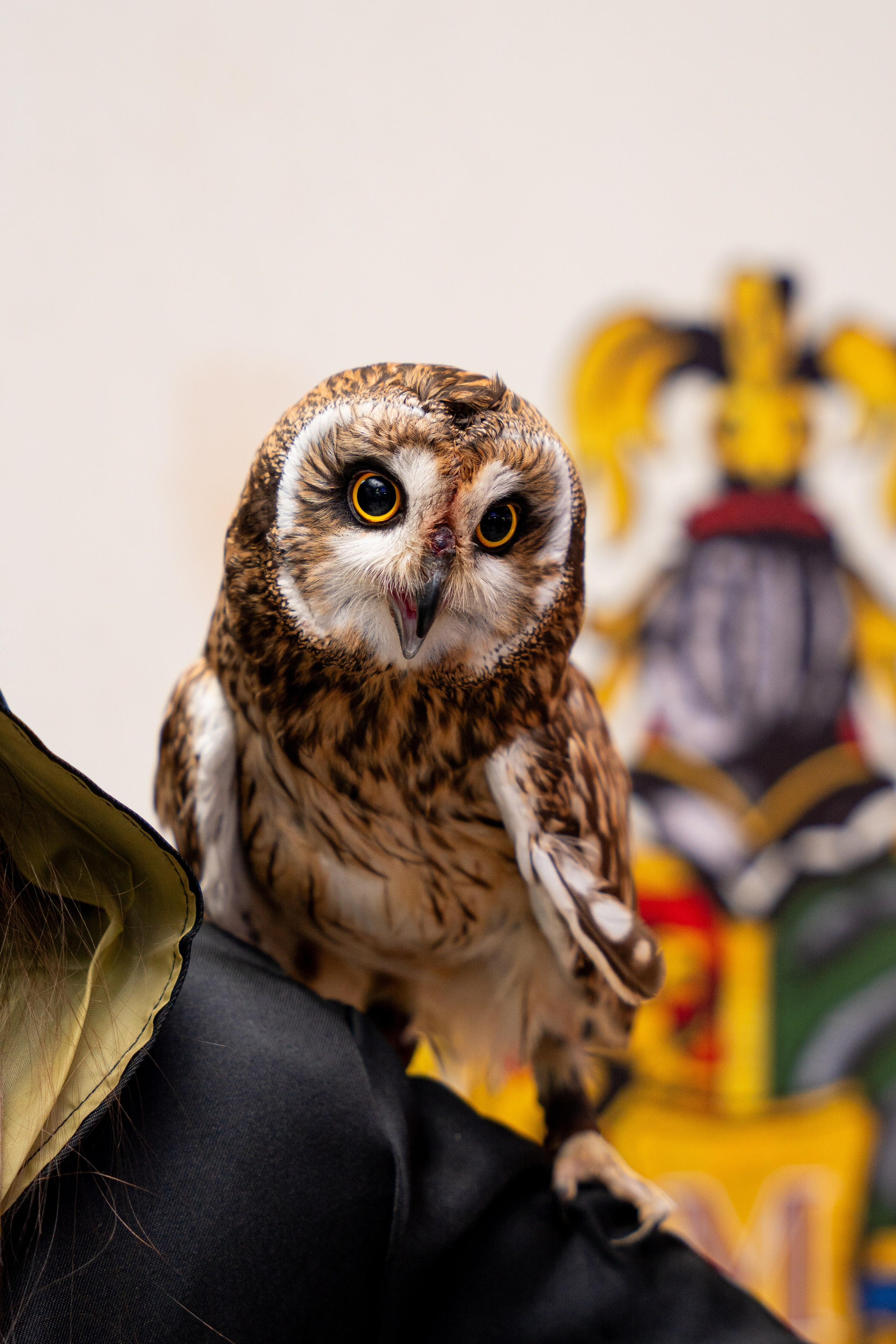 ДР МАШИ. Фотограф на любое мероприятие