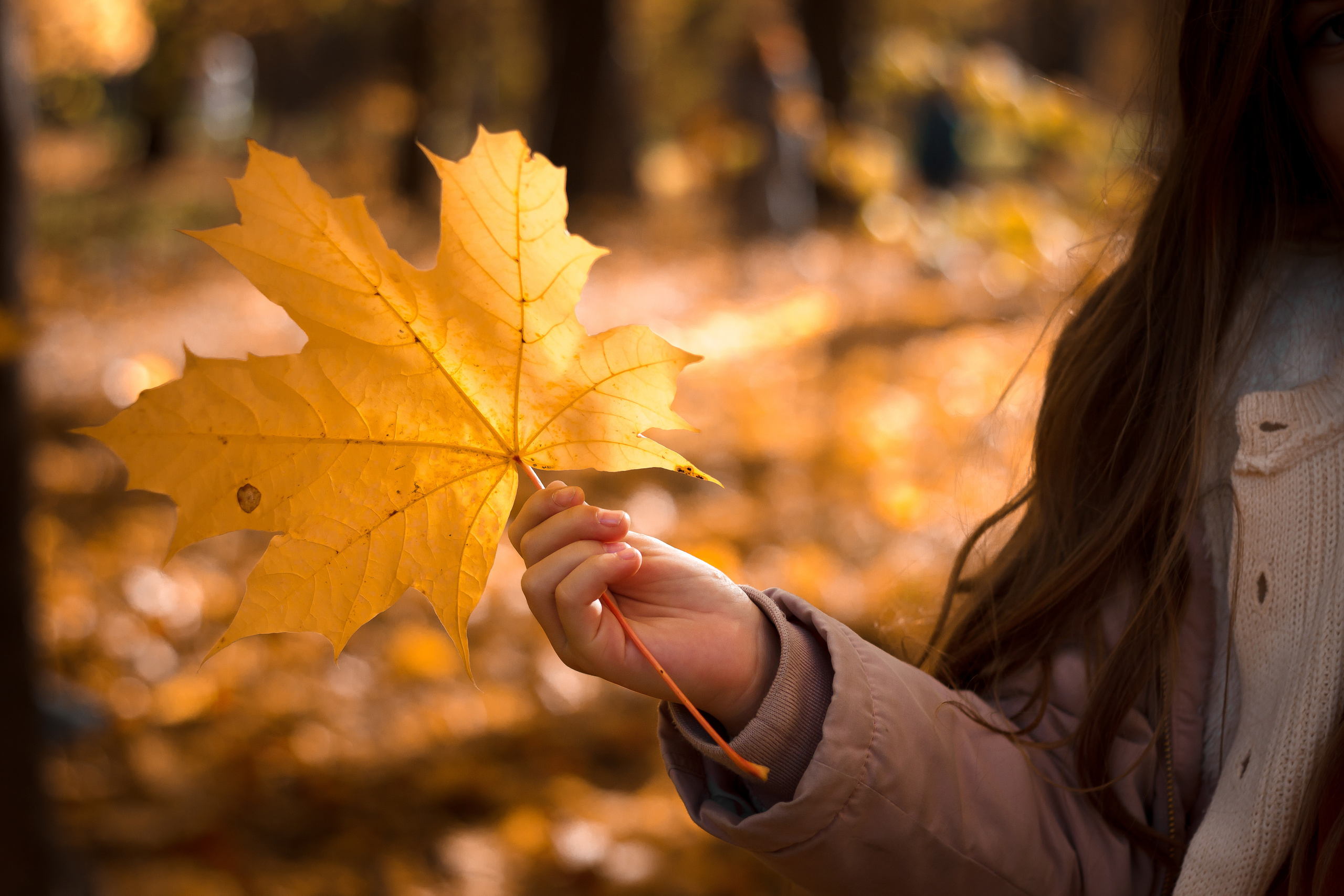 Юра и Настя. Свадебный и семейный фотограф в Санкт-Петербурге Кирилл Шалагинов