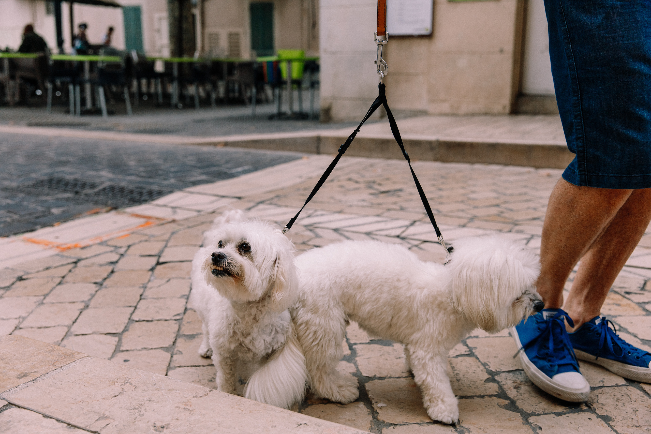 Cassis, фотограф во Франции, фотограф в Марселе, Кассис, достопримечательности Кассиса, достопримечательности Марселя, Каланки, Каланки Кассис, море, Южная Франция, Marseille, France, photographer in France