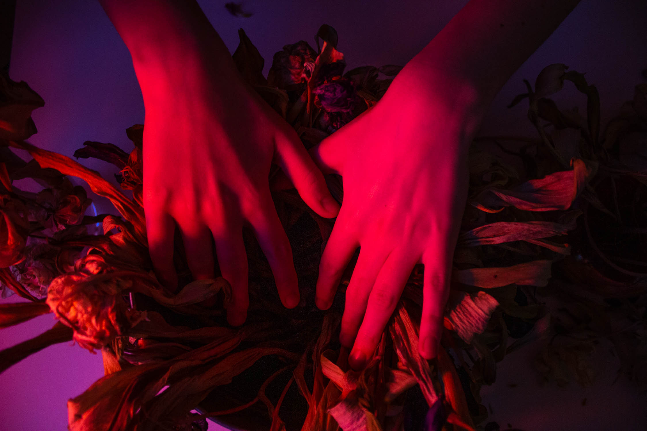 Творческие проекты. Коммерческий фотограф Ксения Есина