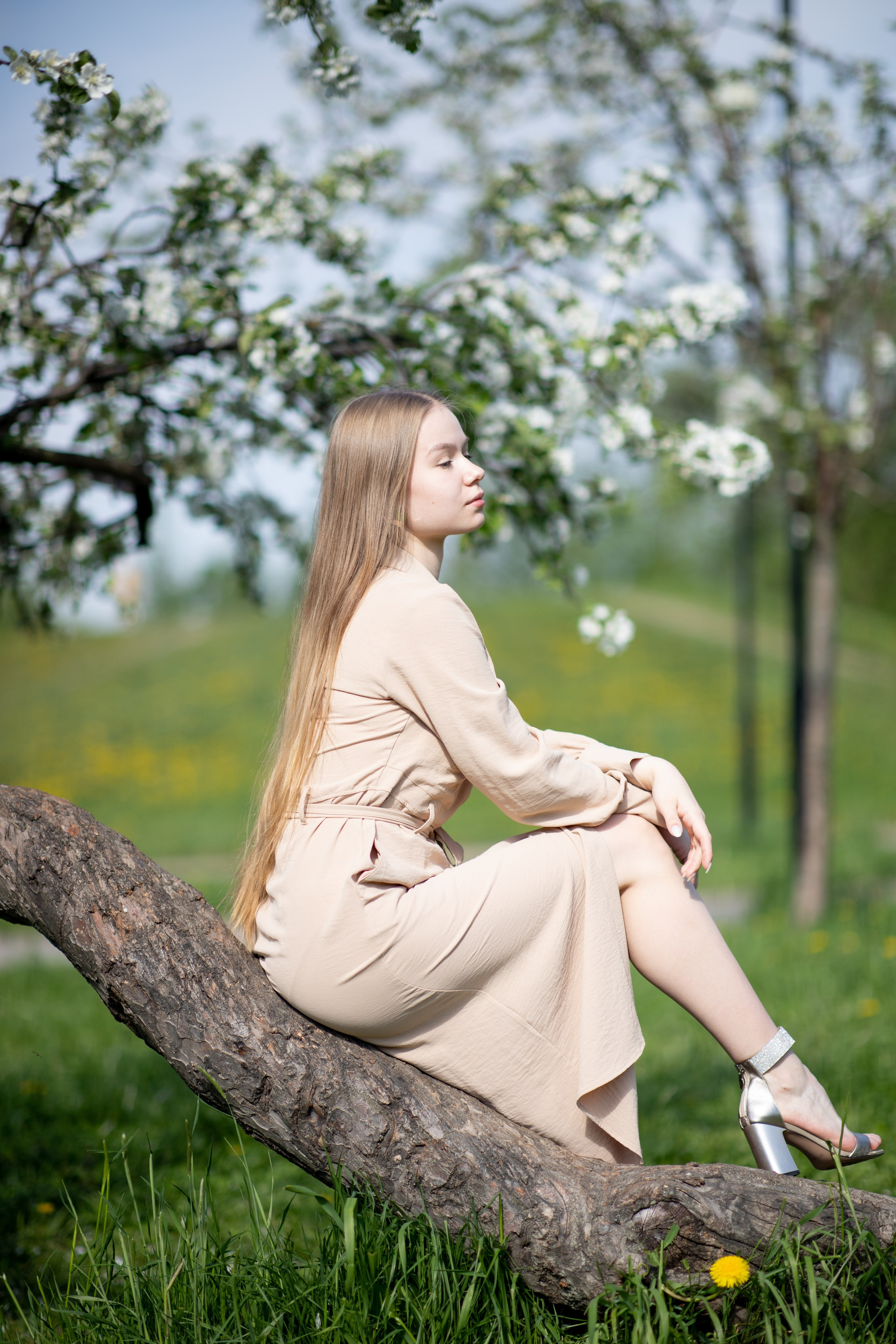 Фотосессия в цветущем яблоневом саду. Санкт-Петербург