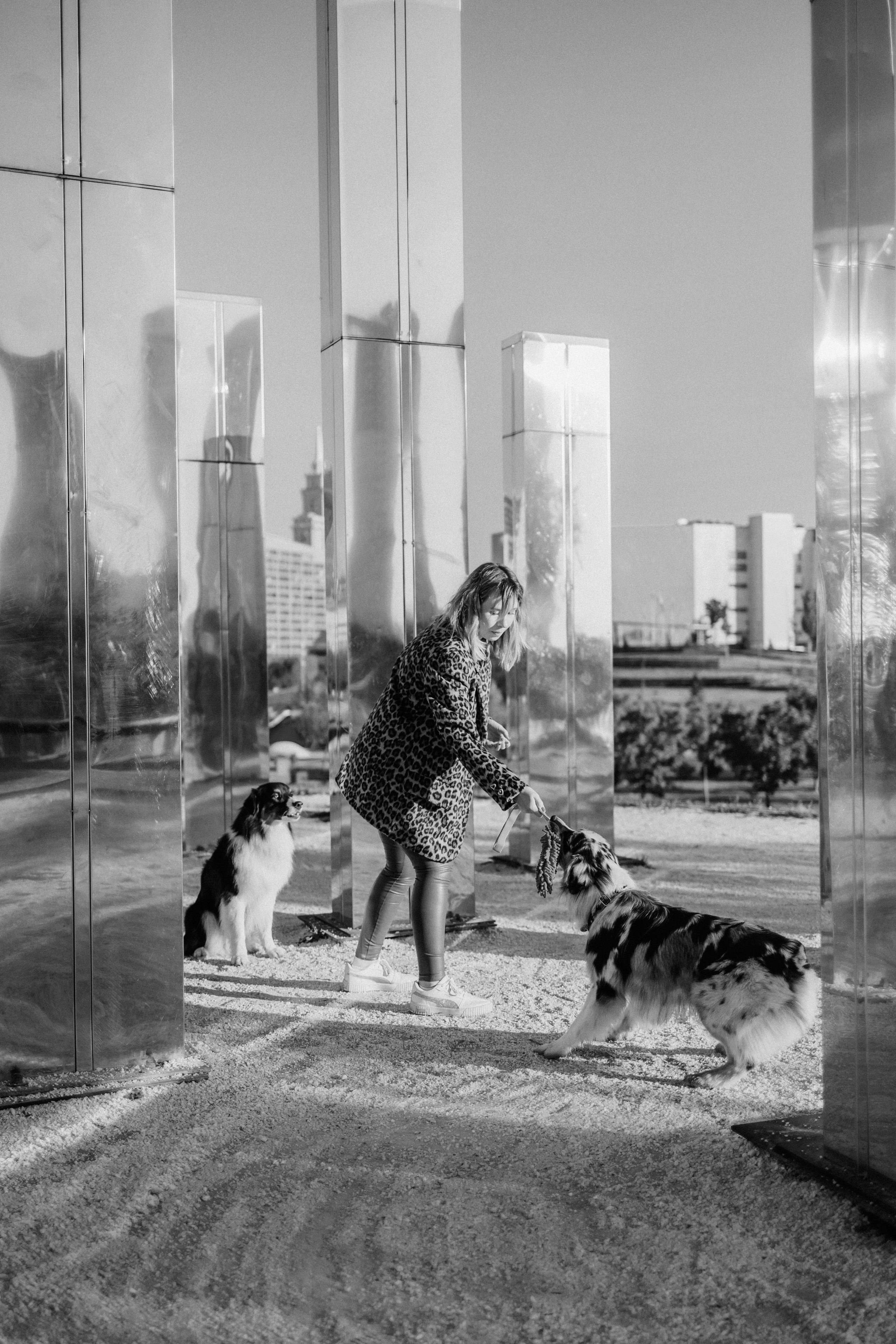 Аня, Чарли и Ева. Фотограф-анималист Елена Радченко, Москва