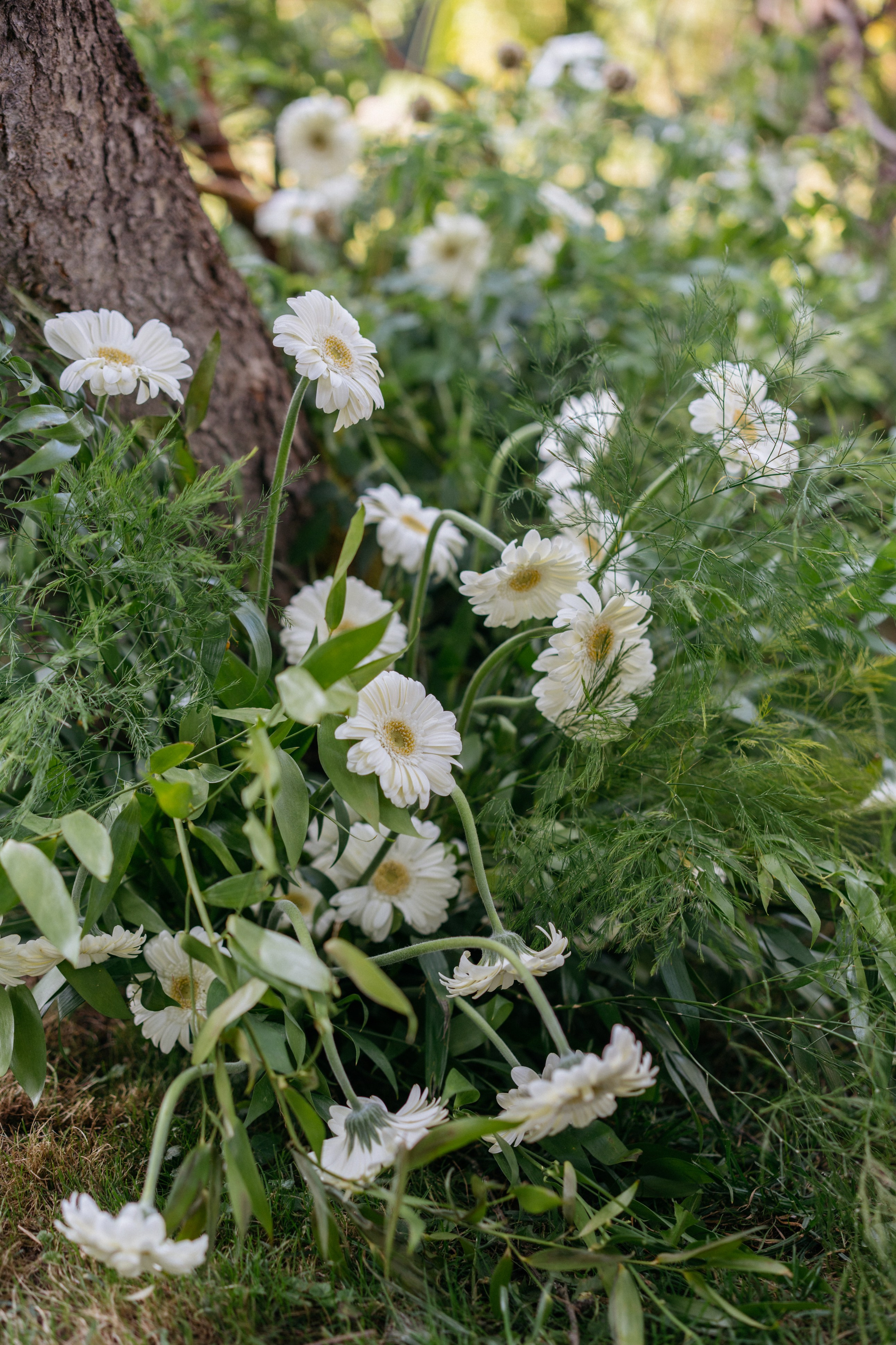 Илья и Алина. Свадебный и семейный фотограф в Калининграде Анастасия Гриценко