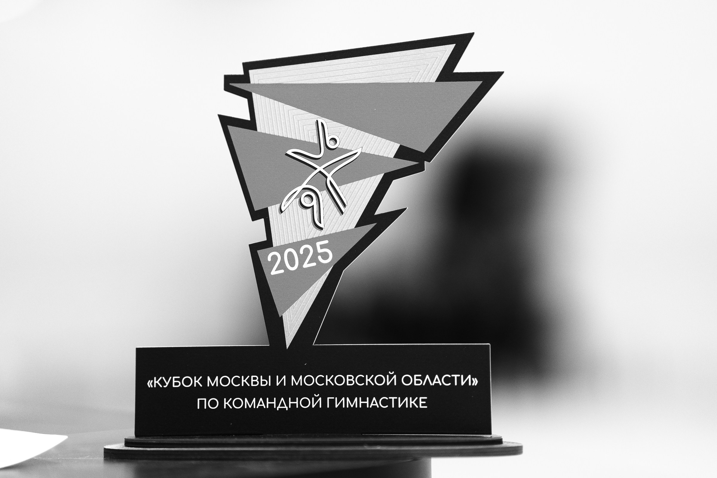 Гимнастика. Фотограф Москва