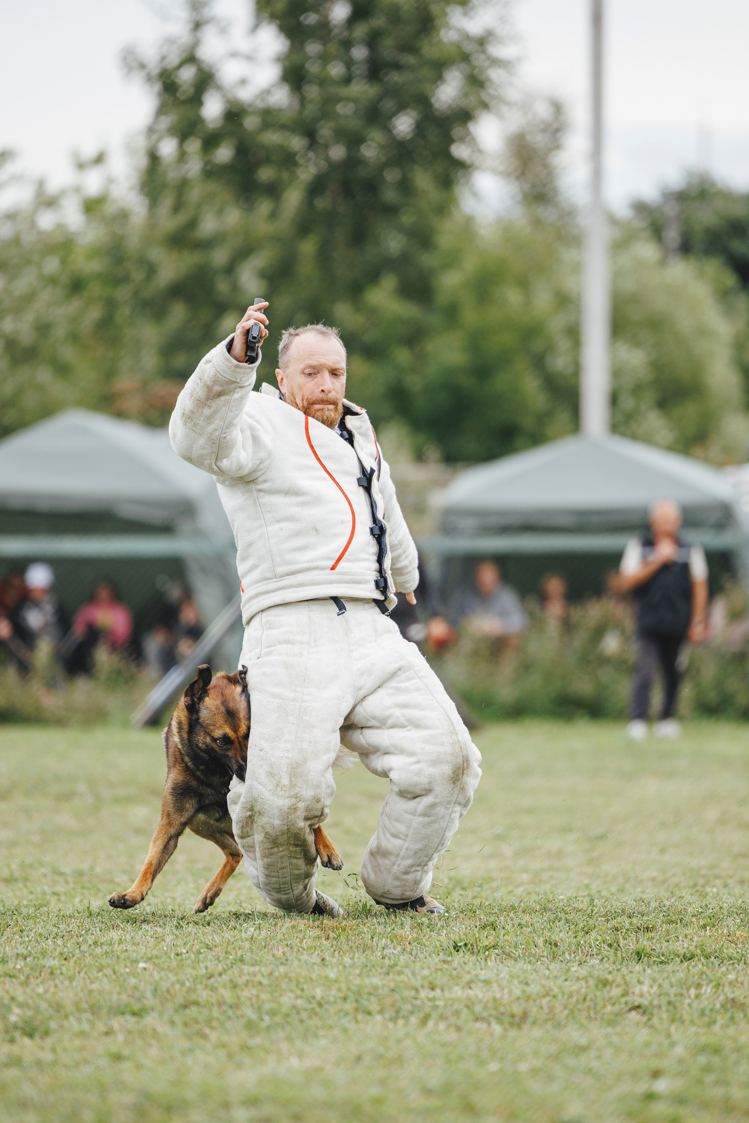 08.08.25-10.08.25 ЧР по мондьорингу г. Вологда. Фотограф-анималист Анна Маринич
