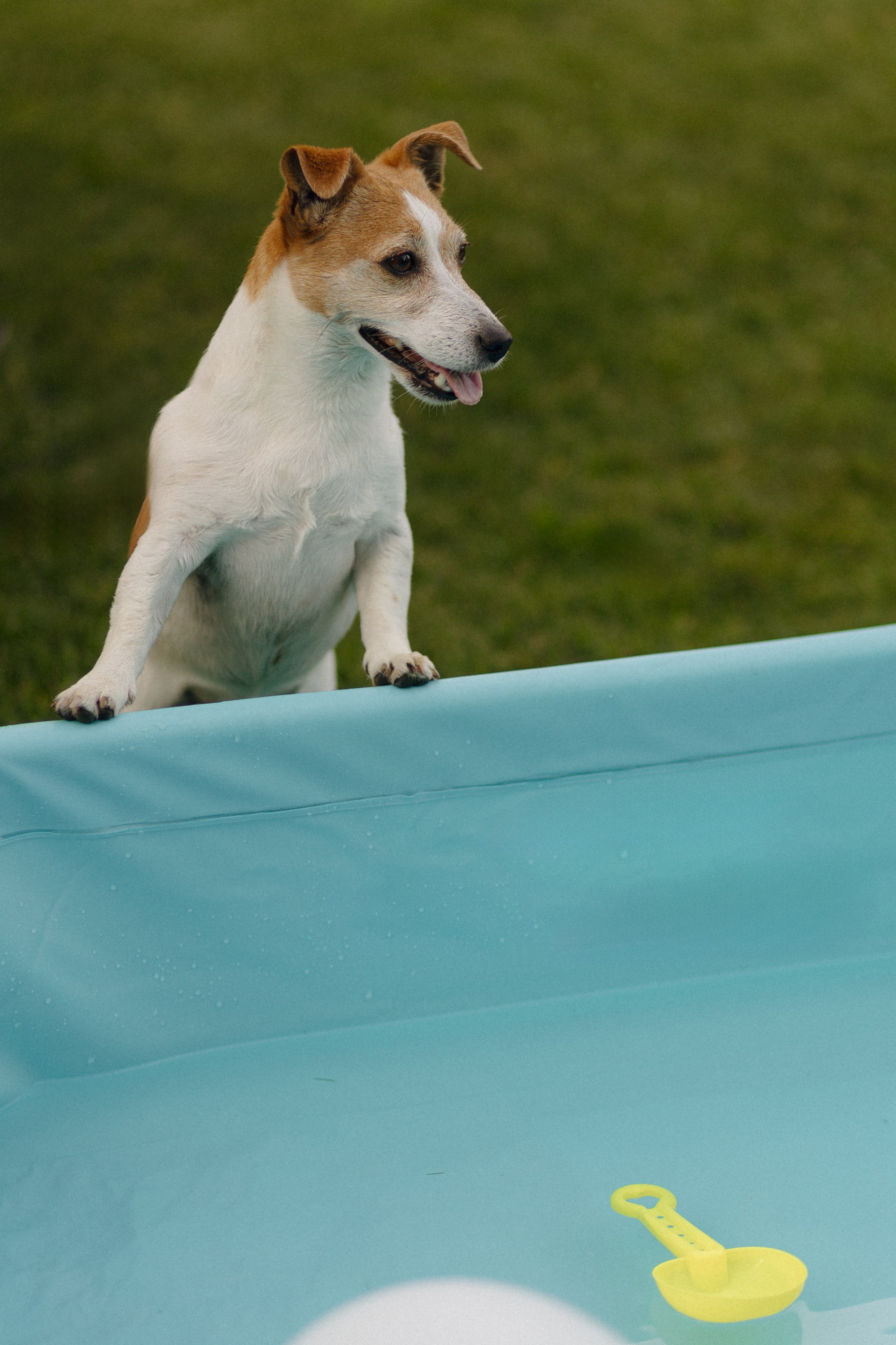 МИЛАНА. Свадебный и индивидуальный фотограф в Челябинске Евгения Негодяева