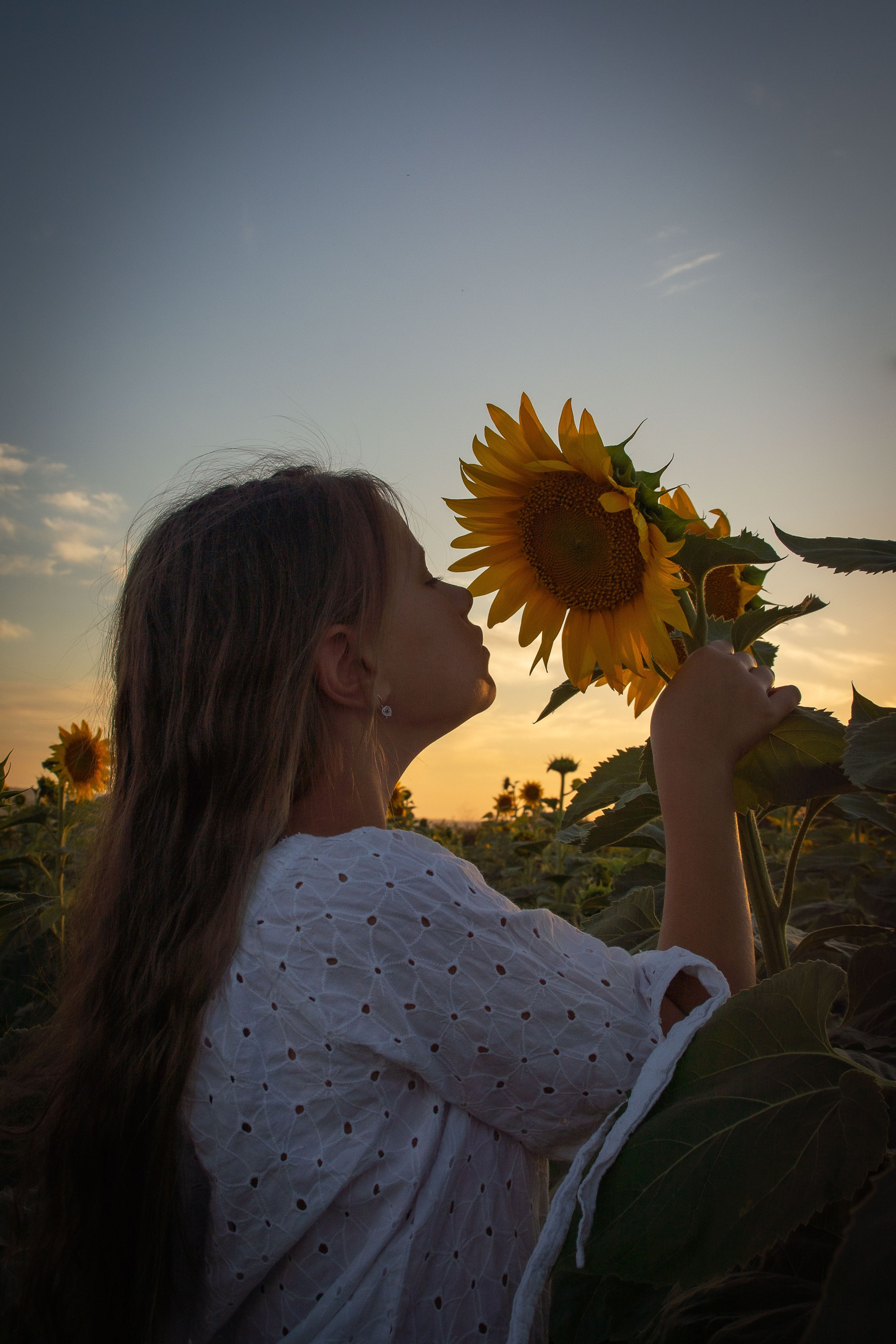Подсолнухи. Елена Волкова семейный фотограф в станице Гостагаевской города-курорта Анапа
