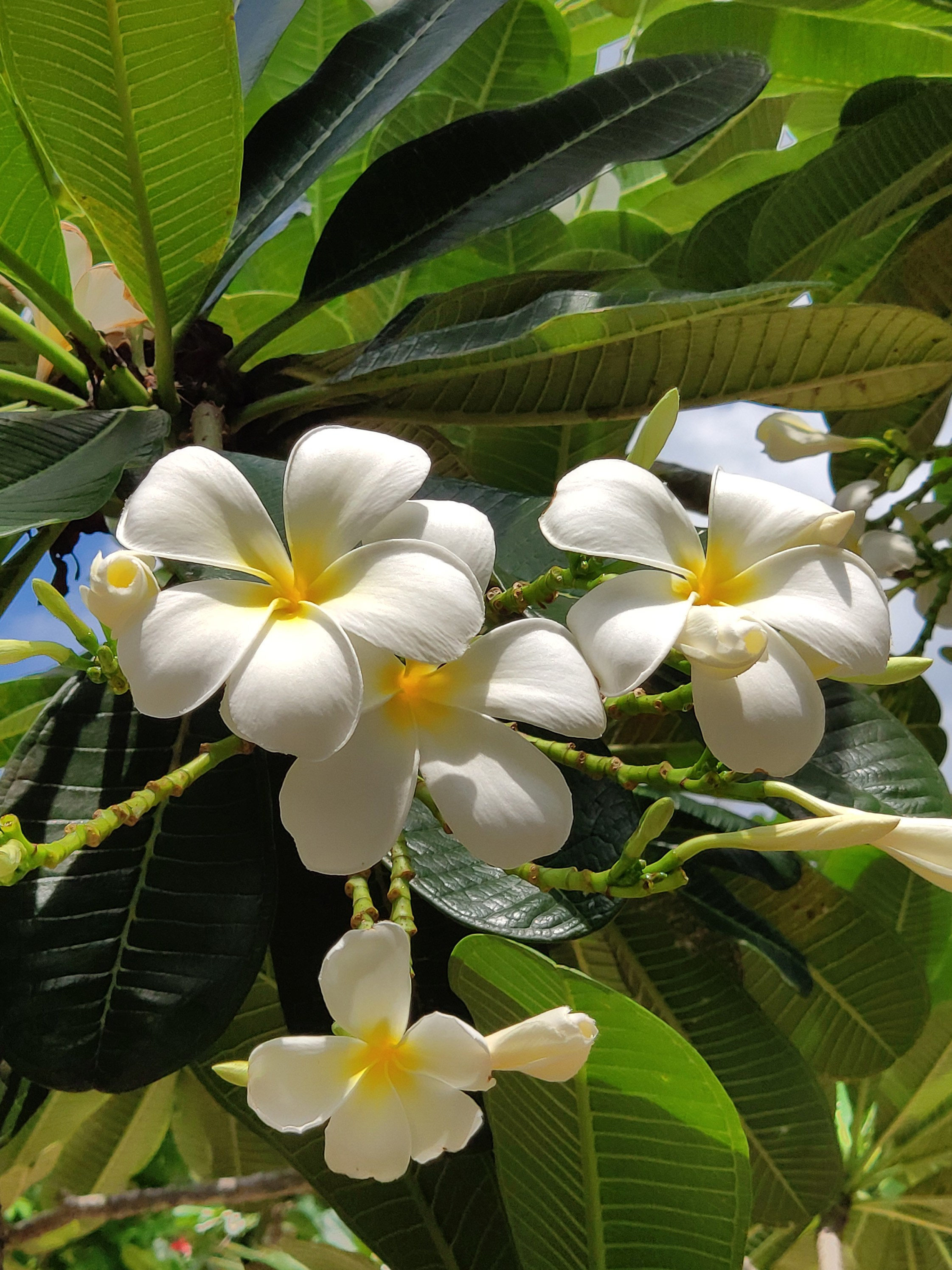 Indonesia (Bali Island). Фотограф Алексей Федорищев