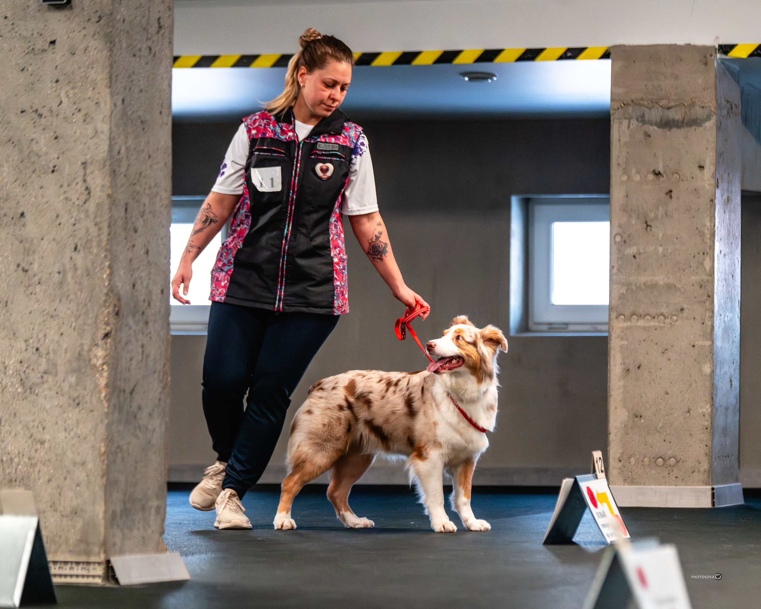 ТЫ И Я (соревнования по ралли-обидиенс). Фотограф-анималист, семейный фотограф в Москве и Подмосковье. Фотосъёмка кинологических дисциплин