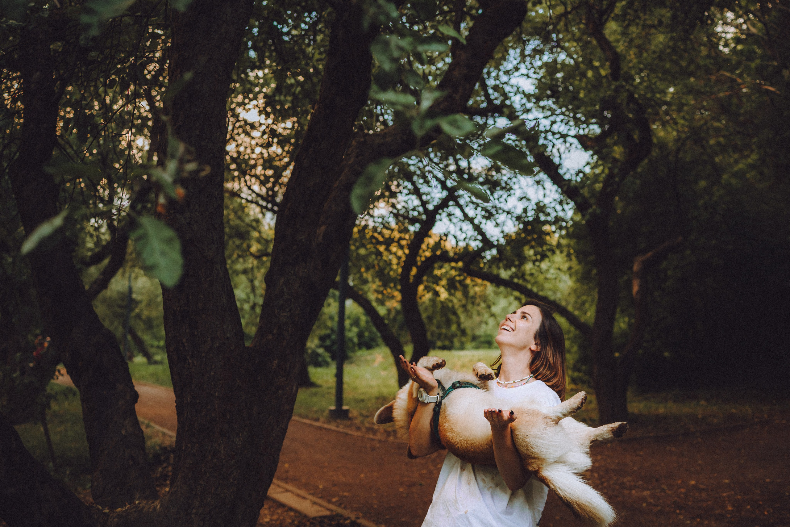 Вирджик и его семья