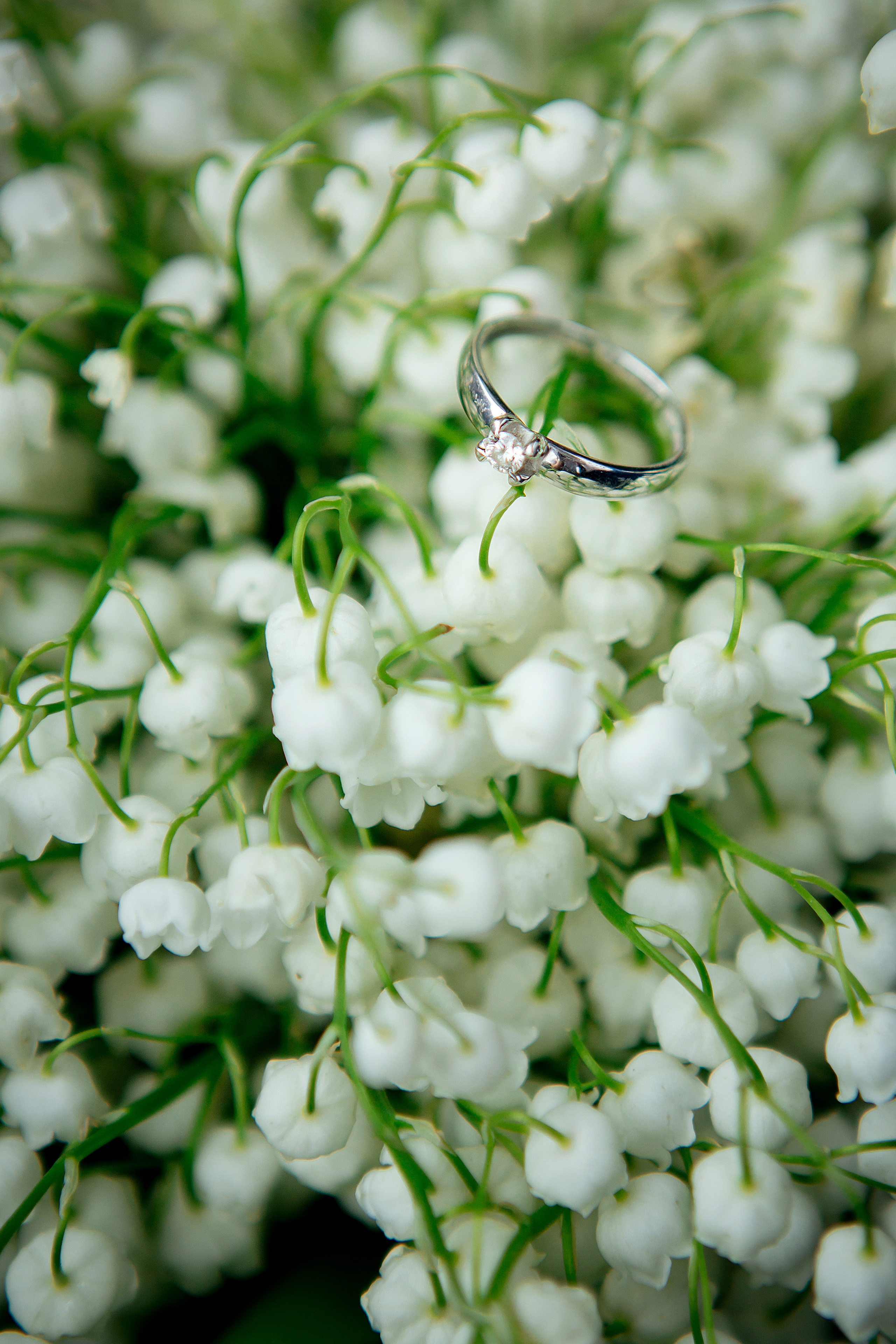 Фотограф в Самаре, Москве Снежана Фадеева