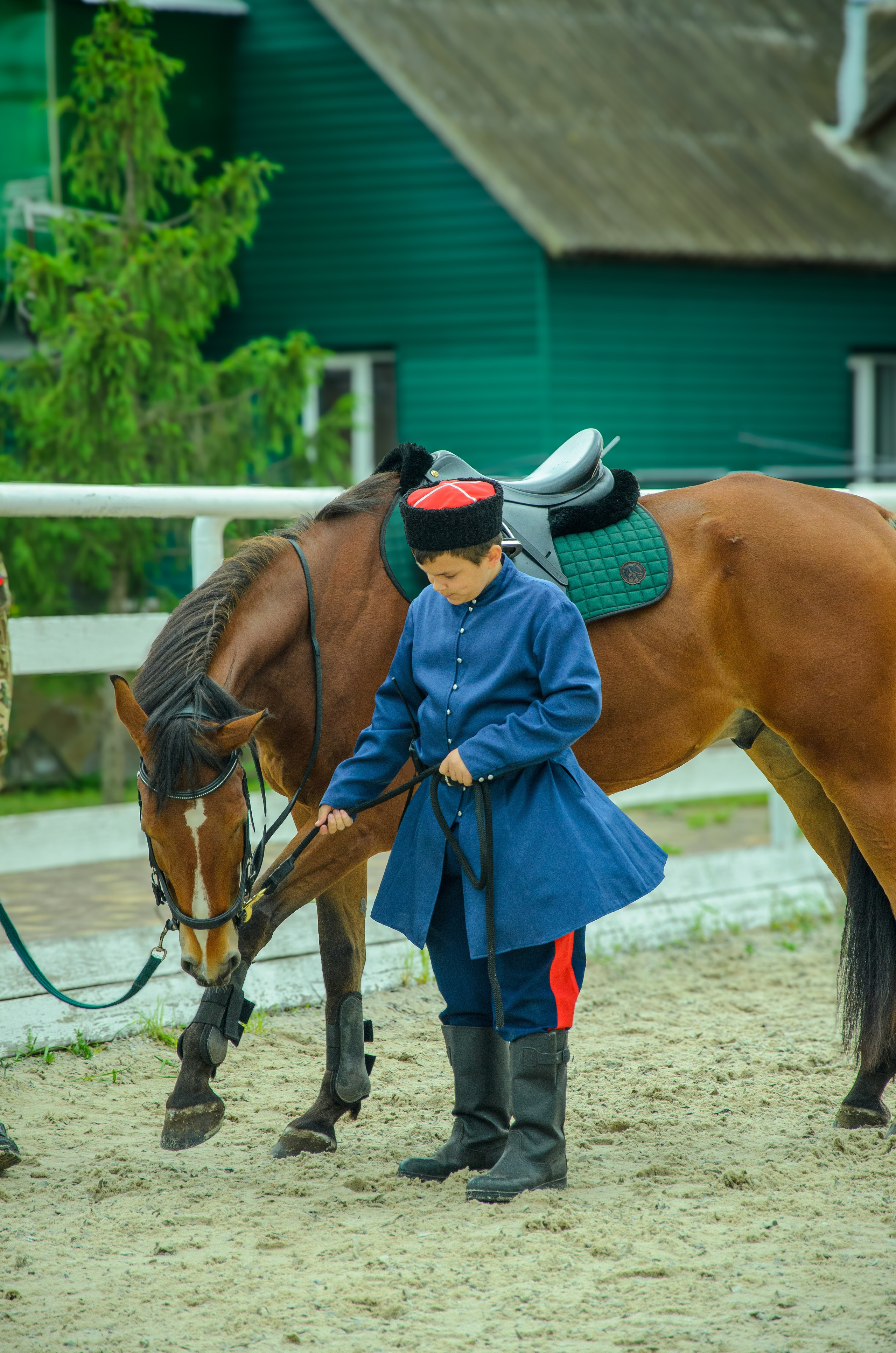 Соревнования «Донской Кавалер». Мультифотограф Виктория Лихоманова