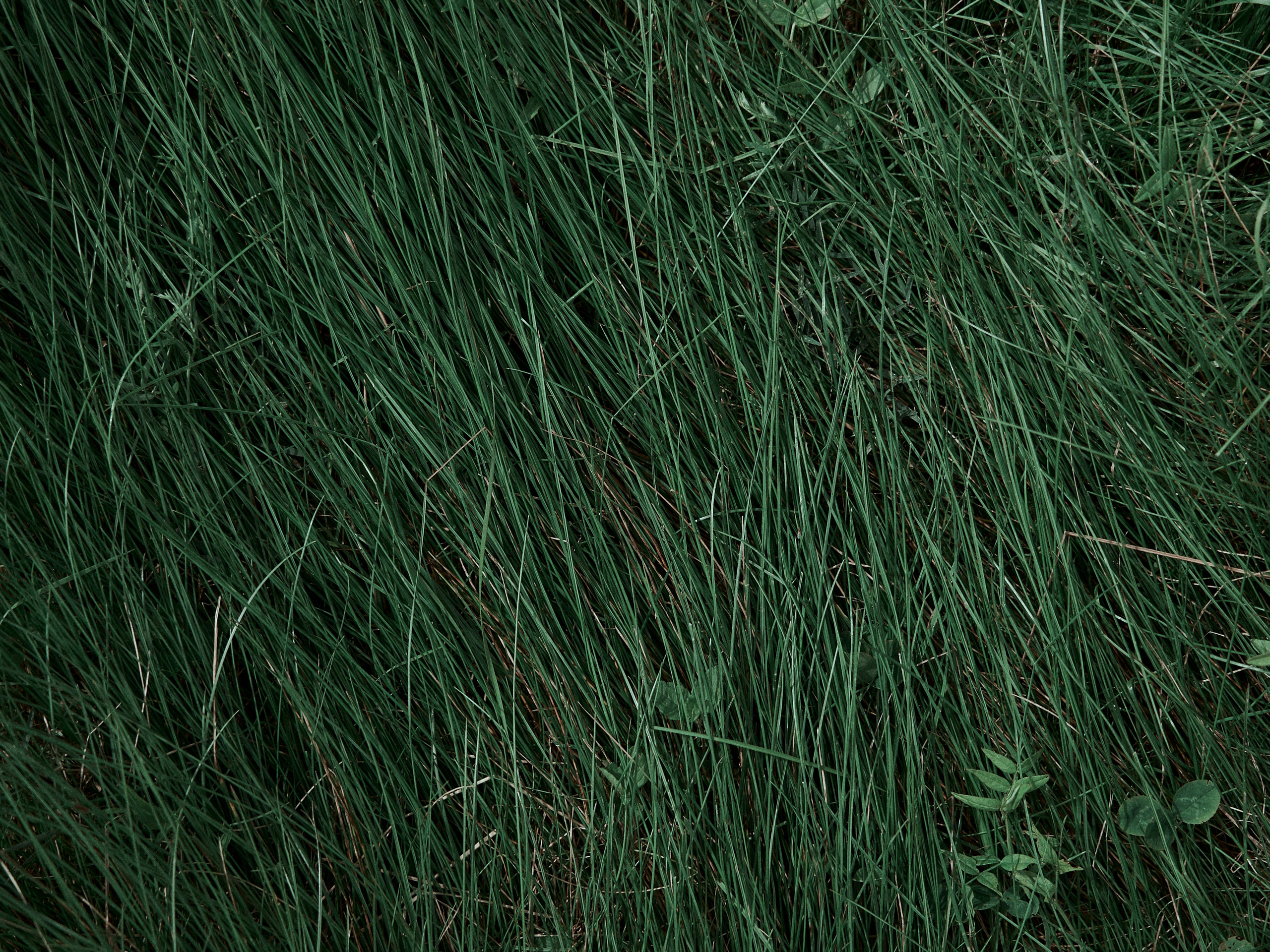 Street. Портретный фотограф в Москве