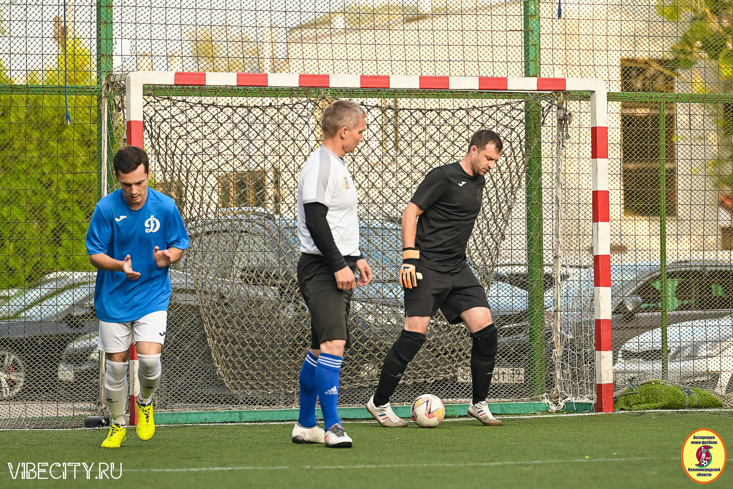 ИГРЫ ПЛЕЙ-ОФФ ПЕРВОГО ДИВИЗИОНА МИНИ-ФУТБОЛЬНОЙ ЛИГИ. VIBECITY.RU Вайб Сити Ру Фоторепортажи Фотоотчеты Калининград