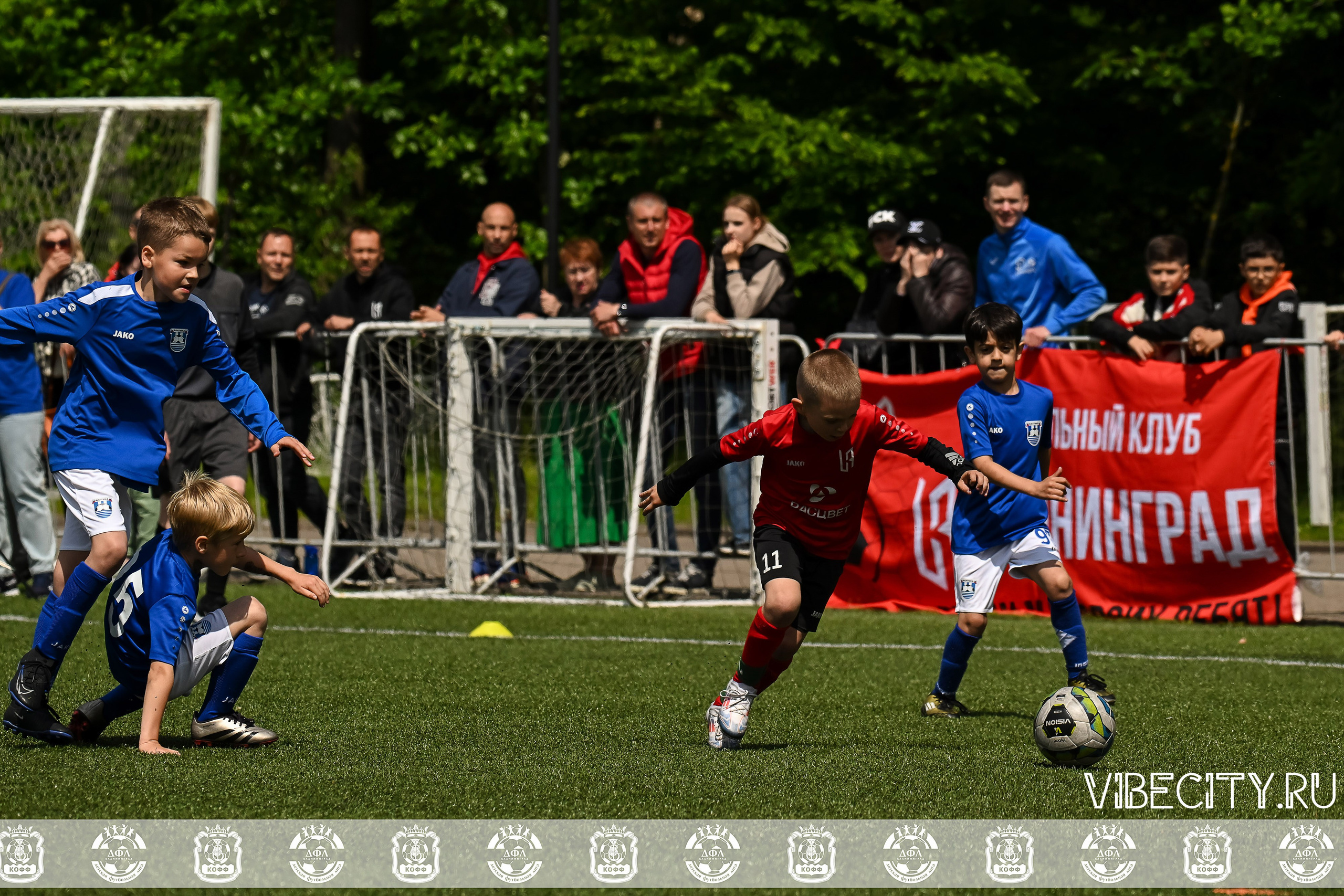 Большие Звезды светят Малым. VIBECITY.RU Вайб Сити Ру Фоторепортажи Фотоотчеты Калининград