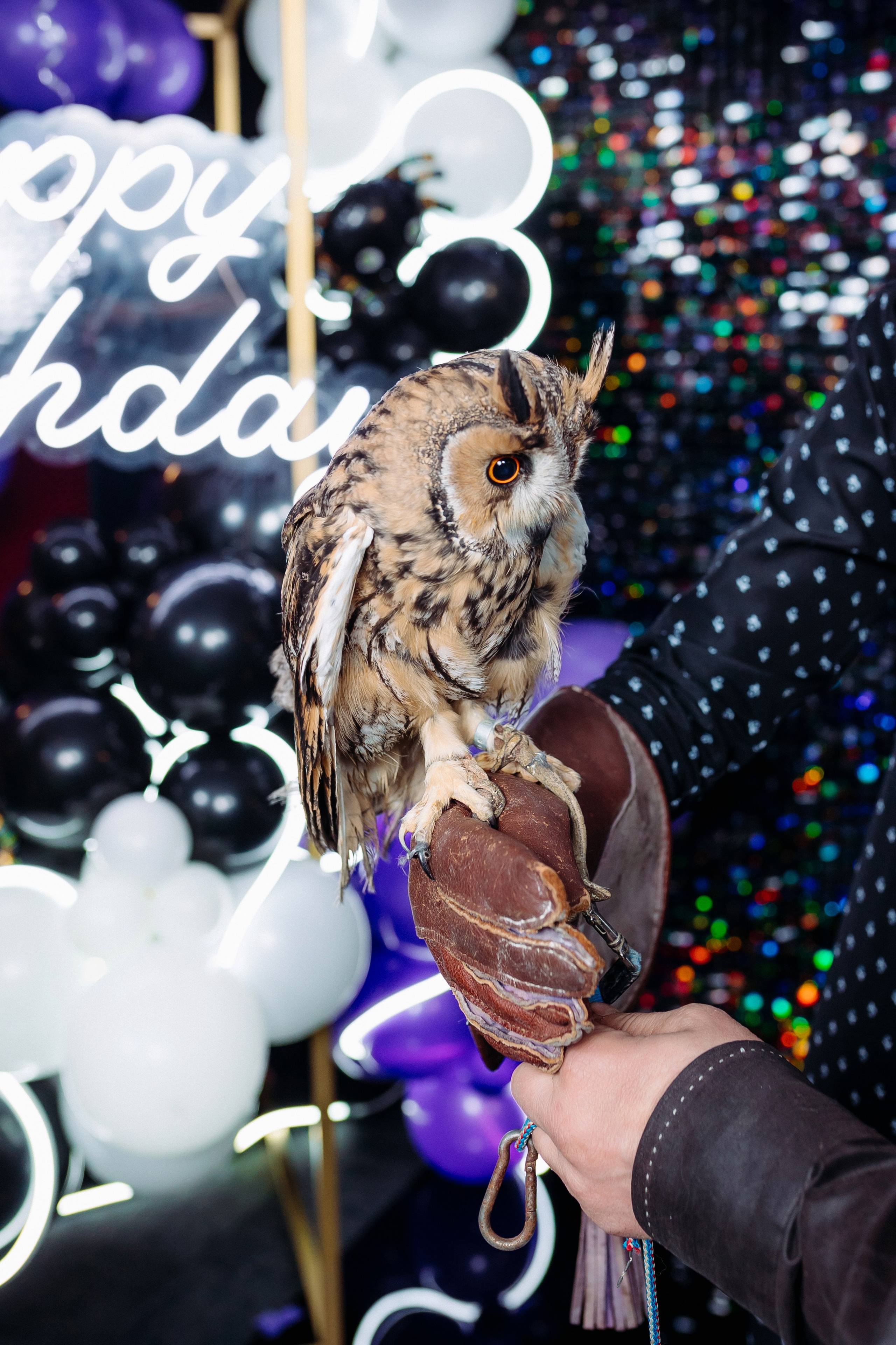 Дни Рождения. Фотограф в Санкт-Петербурге Кирюшенков Андрей