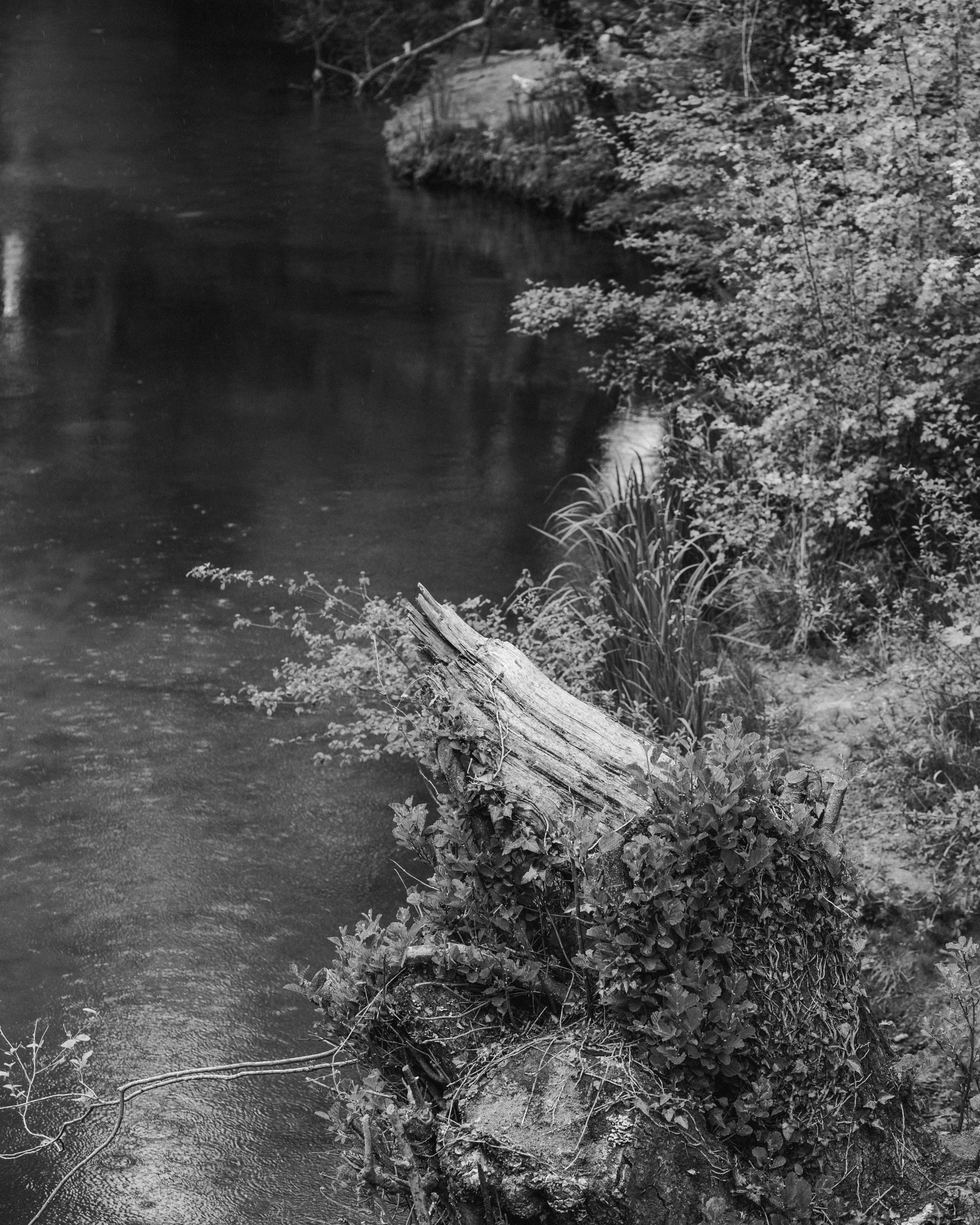 Обряд. Портретный и атмосферный фотограф Екатерина Шаврина