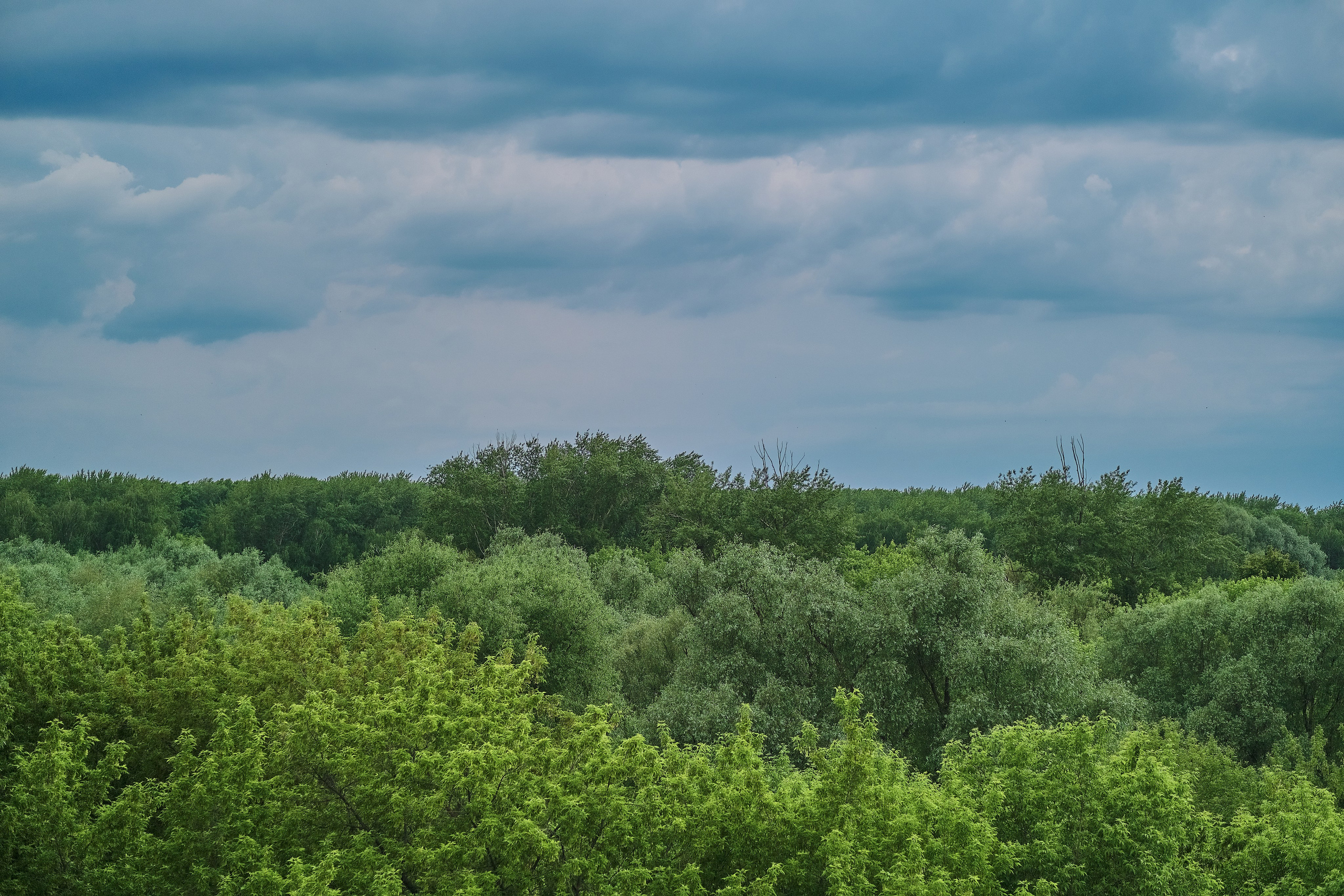 Фотоальбом с разными съёмками