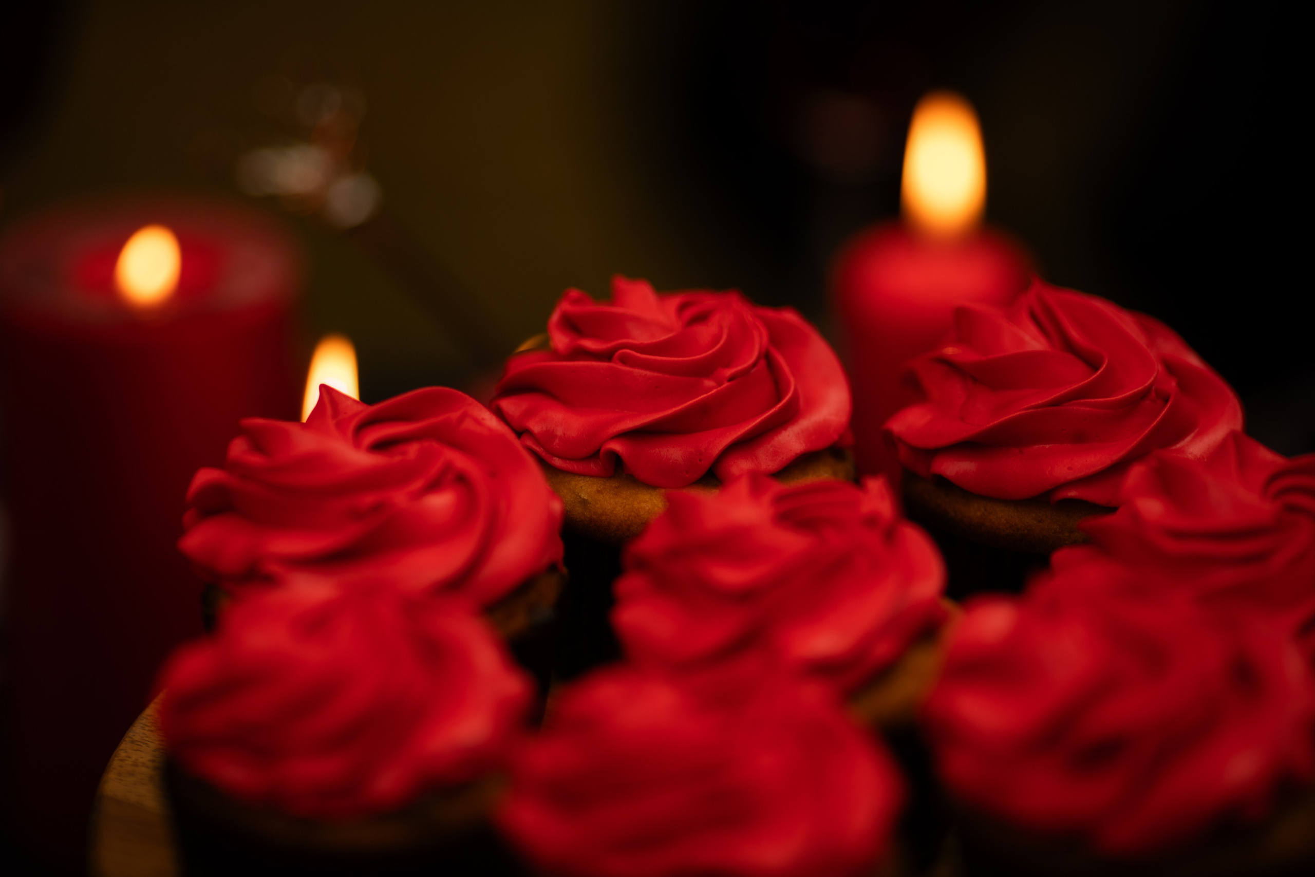 Фотопроект «Вампиры» — тёмная эстетика, осень и красный свет. Фотограф Анна Грошикова — авторская съёмка на рассвете и закате в Москве, Мытищах, Солнечногорске и Московской области