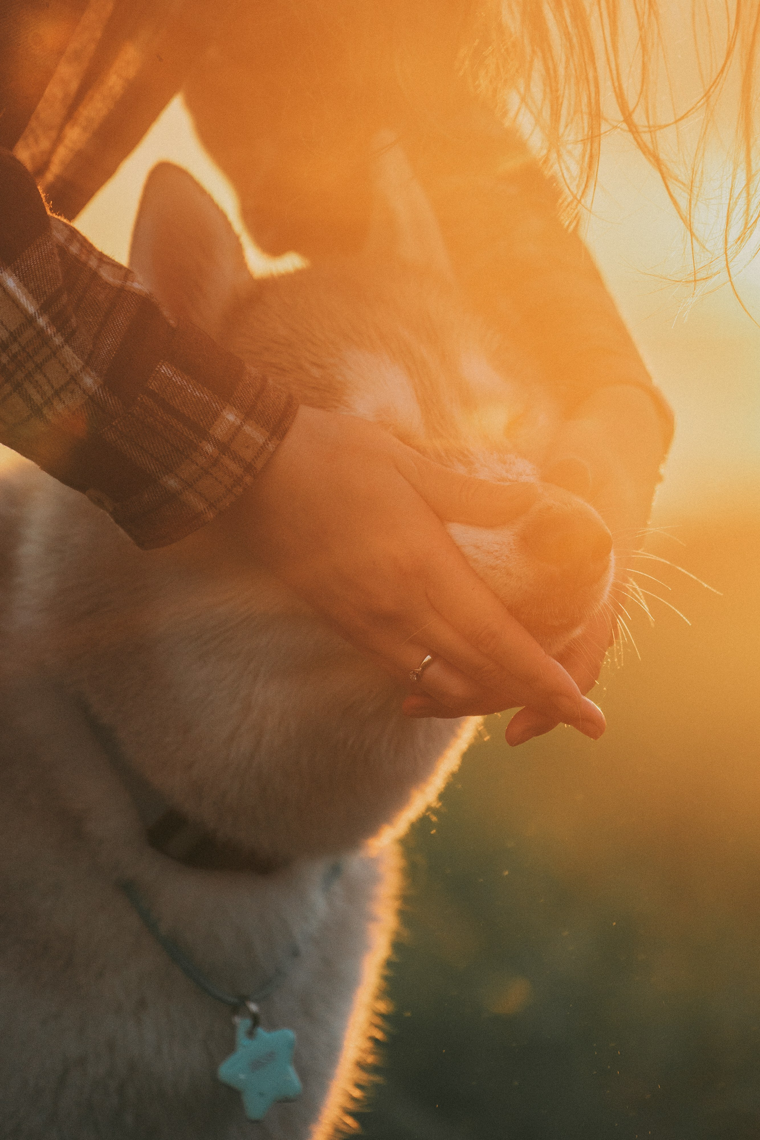 Мария и Джесси. Фотограф анималист в Москве и Санкт-Петербурге Свиридова Анна