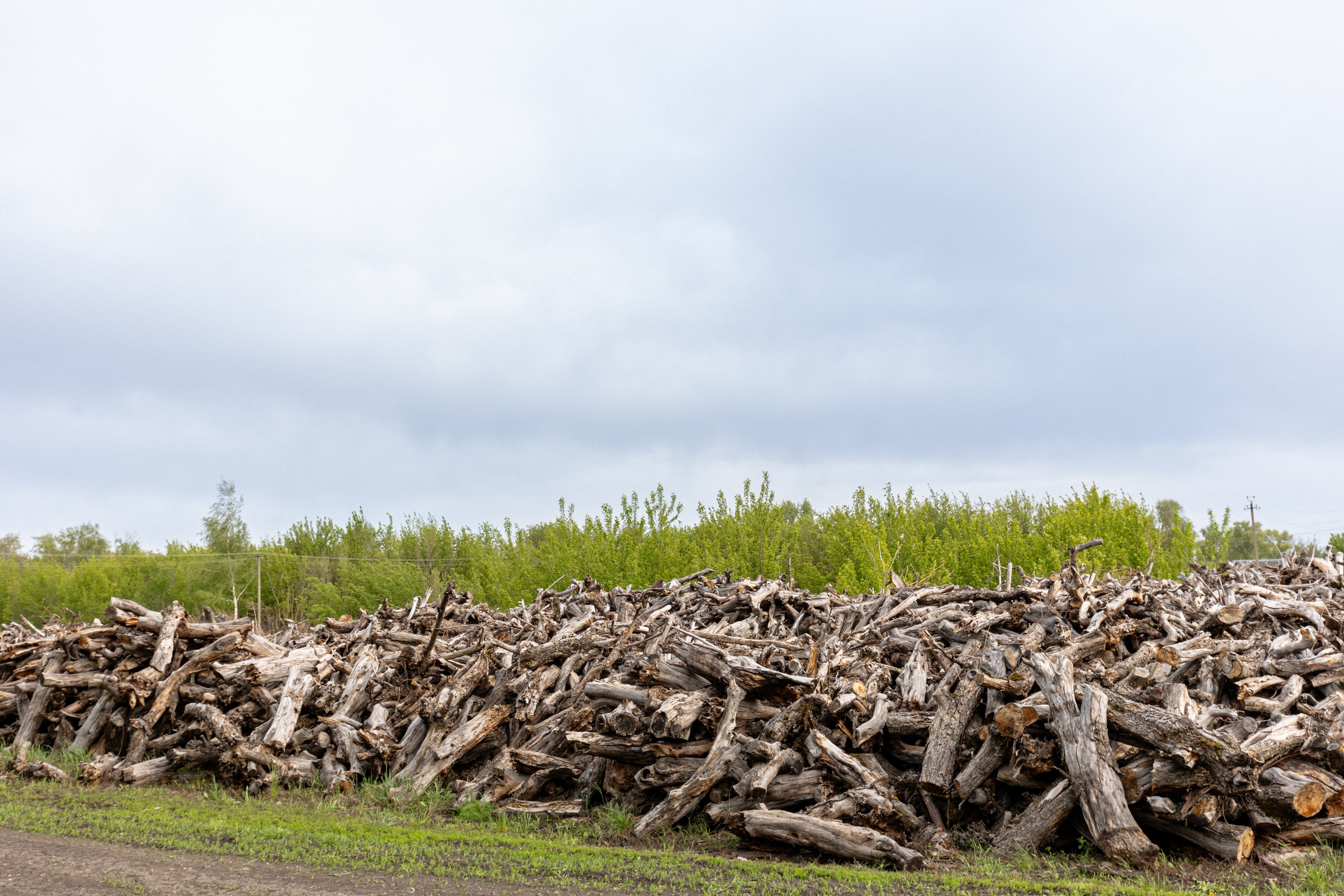 Приусадебный участок. Владислав Волков | Фотография и видеосъемка в Воронеже