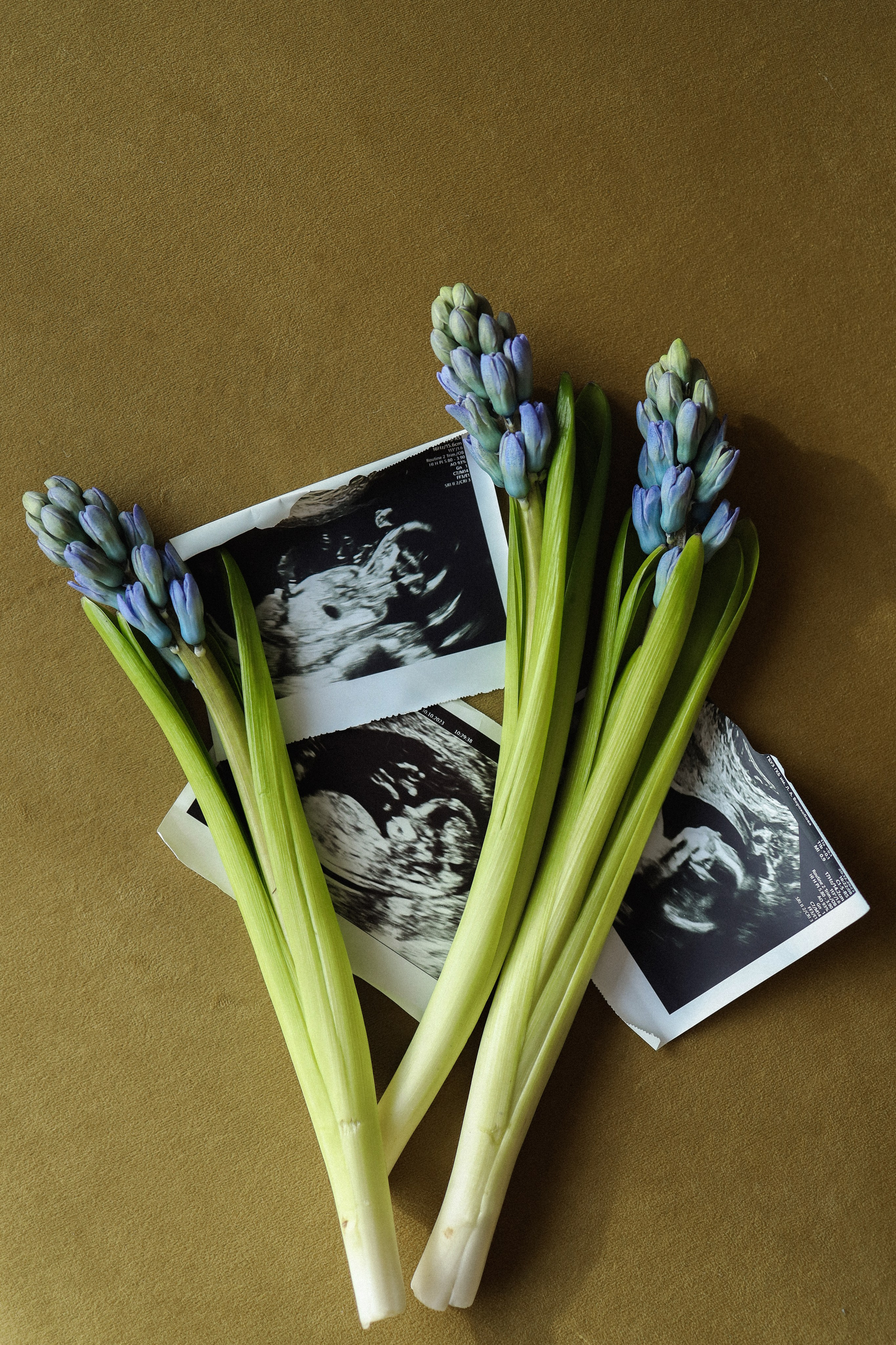 Сильвия и Андрей. Семейный и lovestory фотограф в Москве Светлана Коняхина