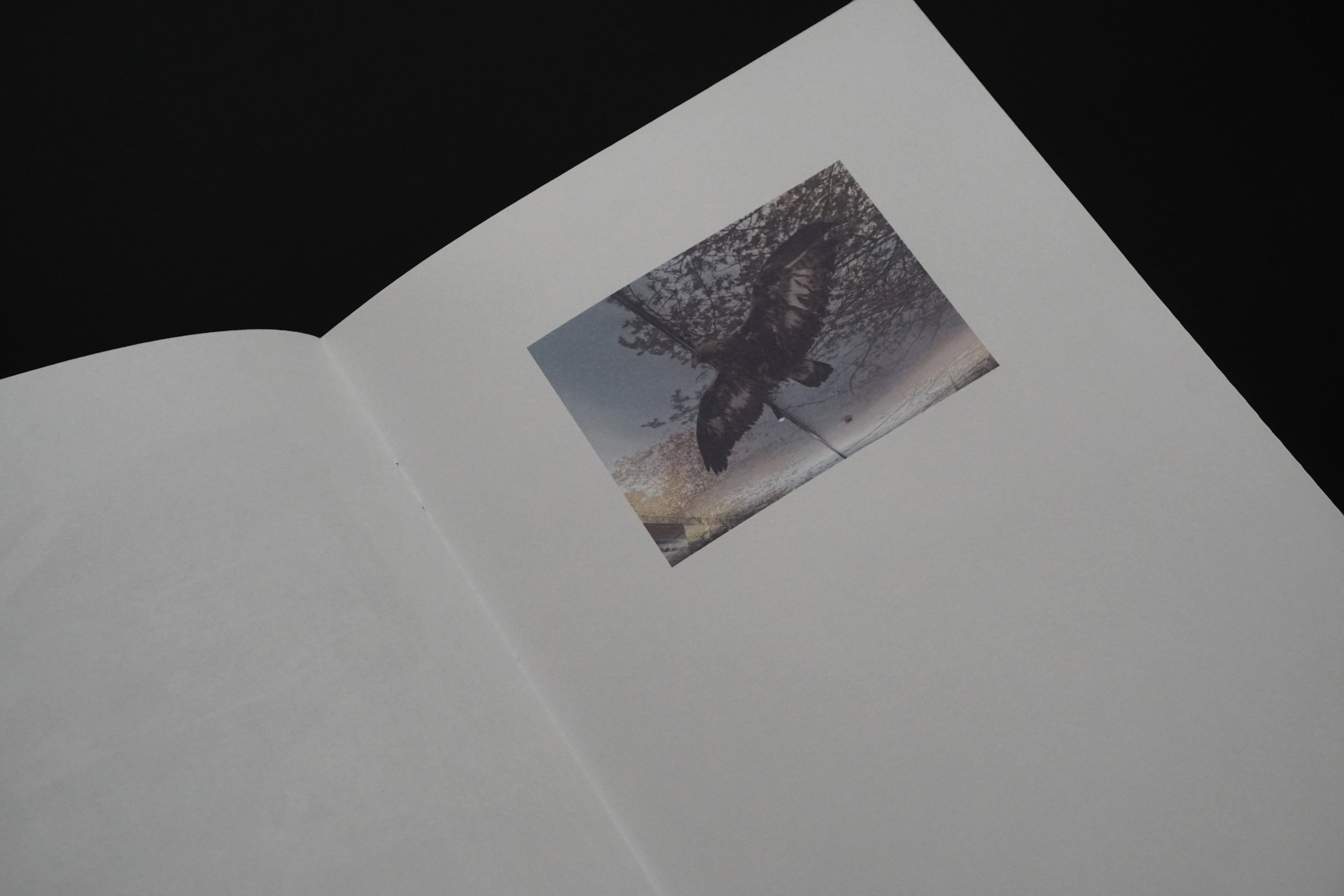 Overview. Anastasia Maryasova