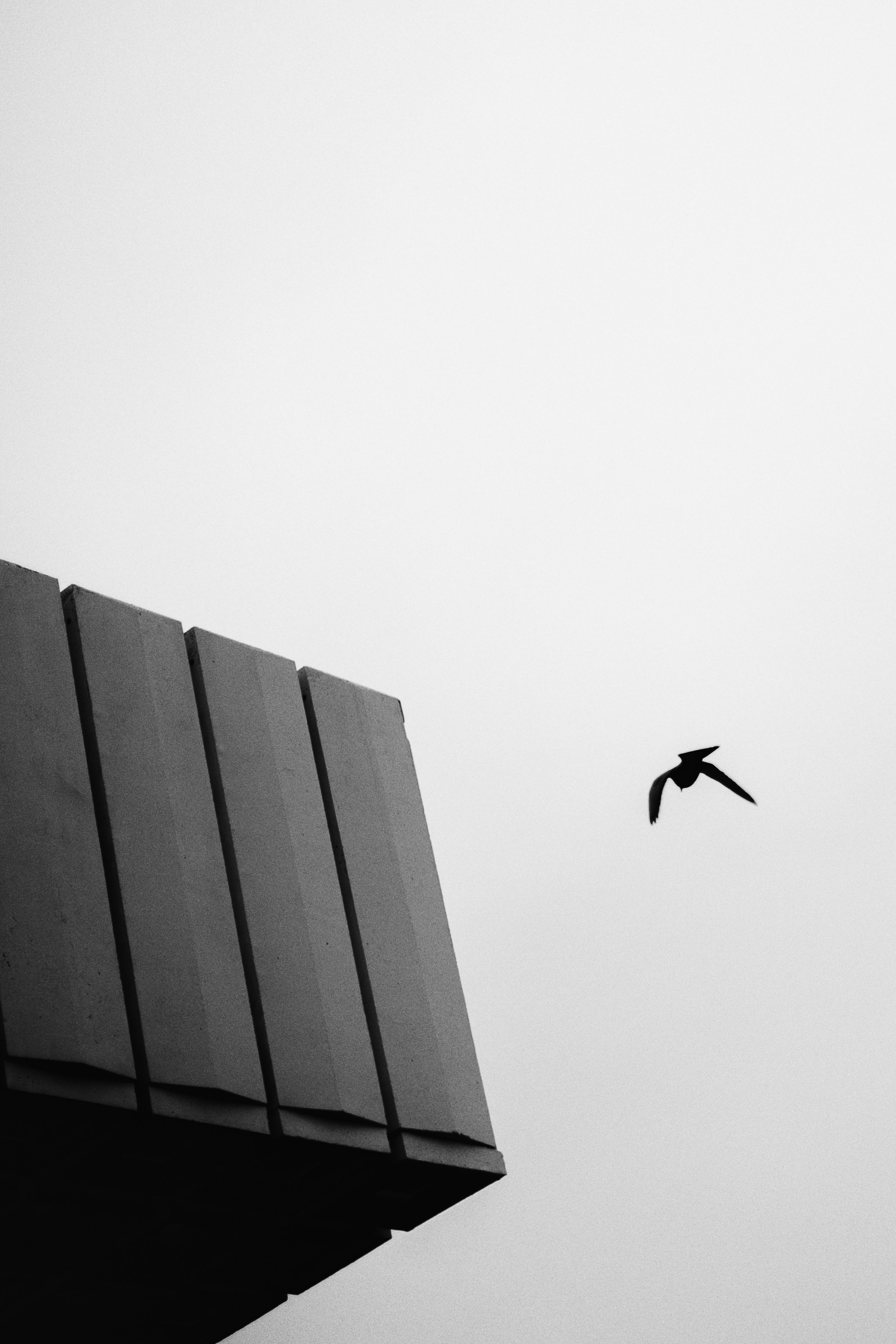 Речпорт. Фотограф Паша Максимов