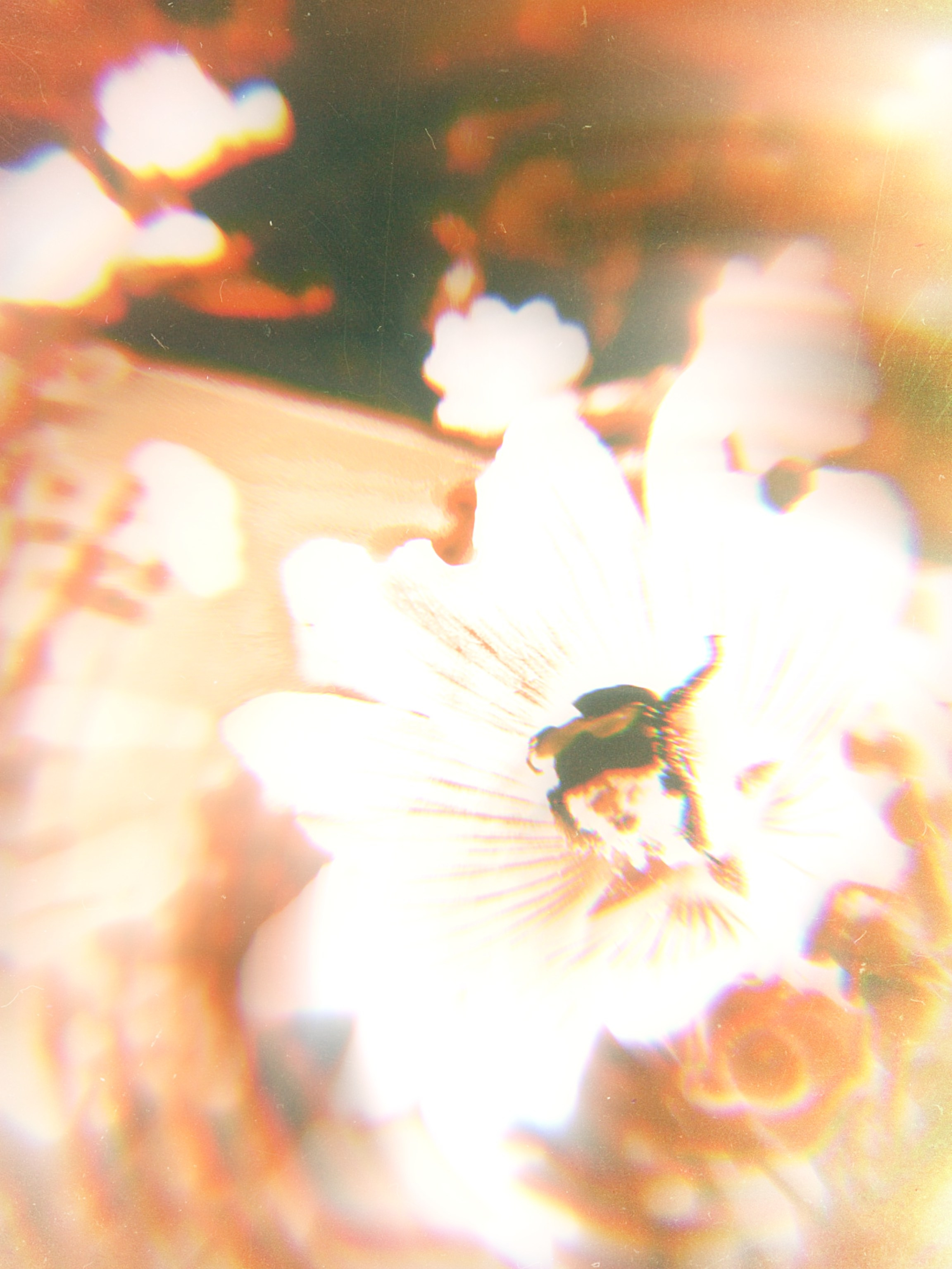 Street/travel. Sveti Sveta • визуальный артист Светлана Дубских