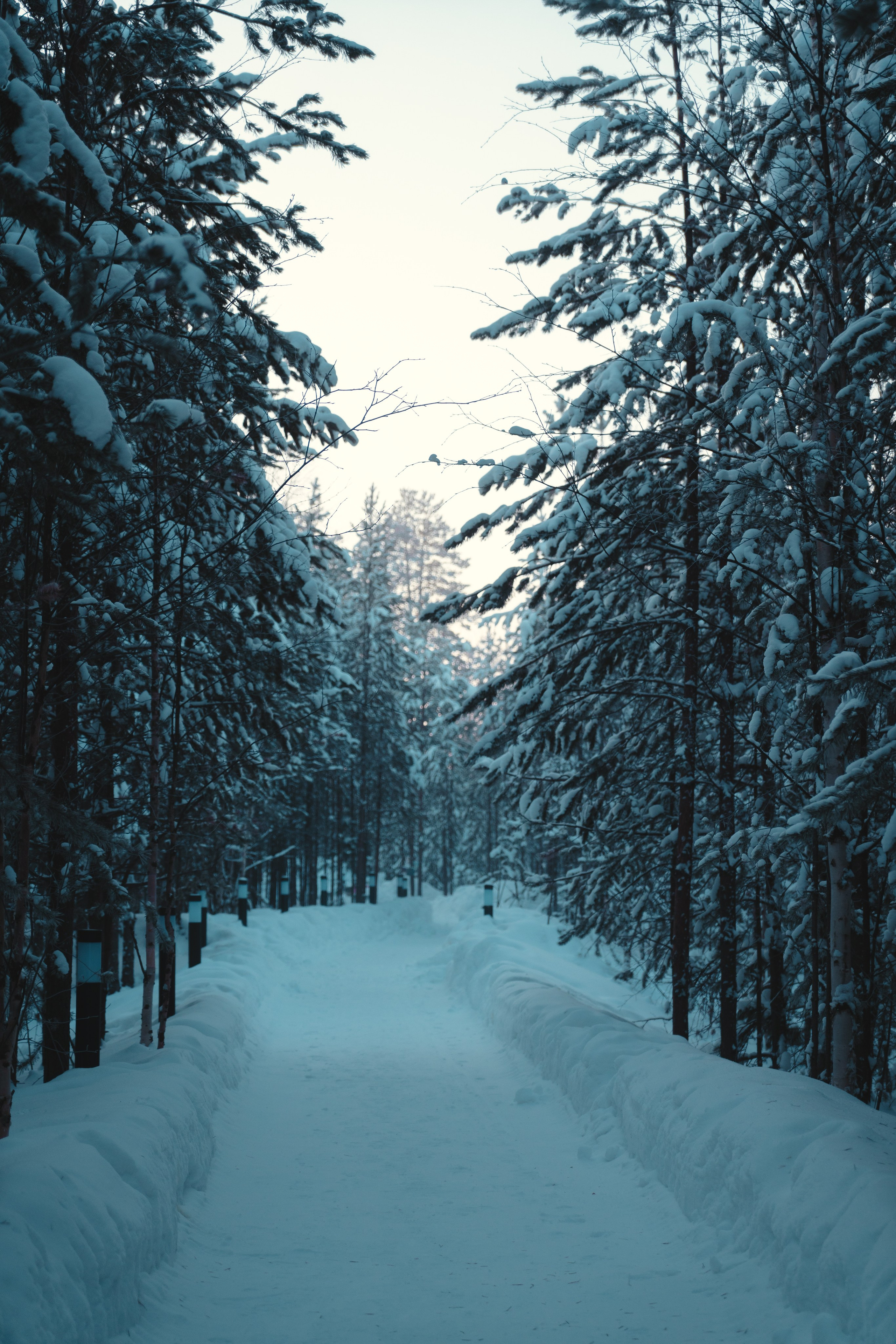 Губкинский и Когалым, Март 2024