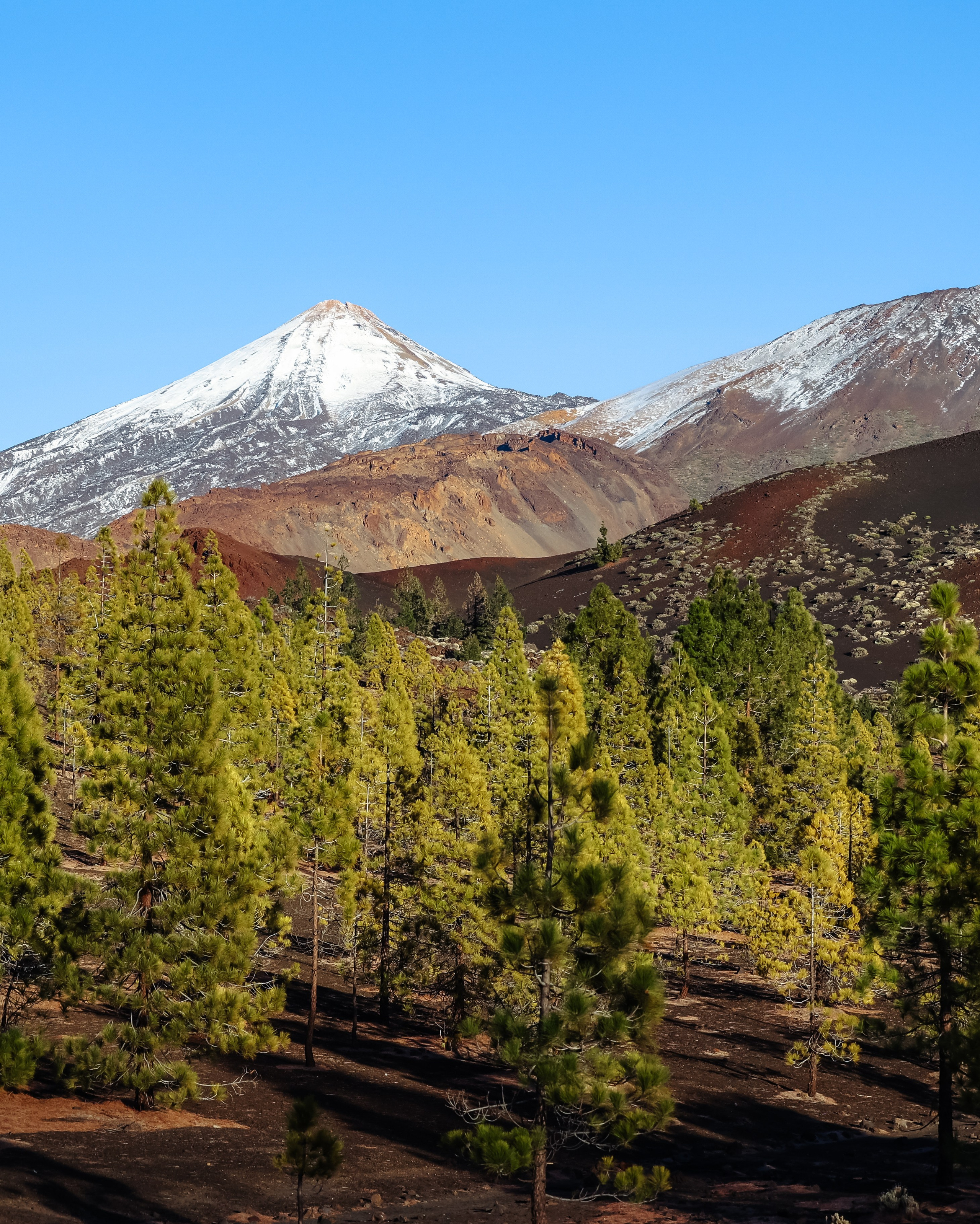 Европа. Фотограф Виктория Волкова. Москва