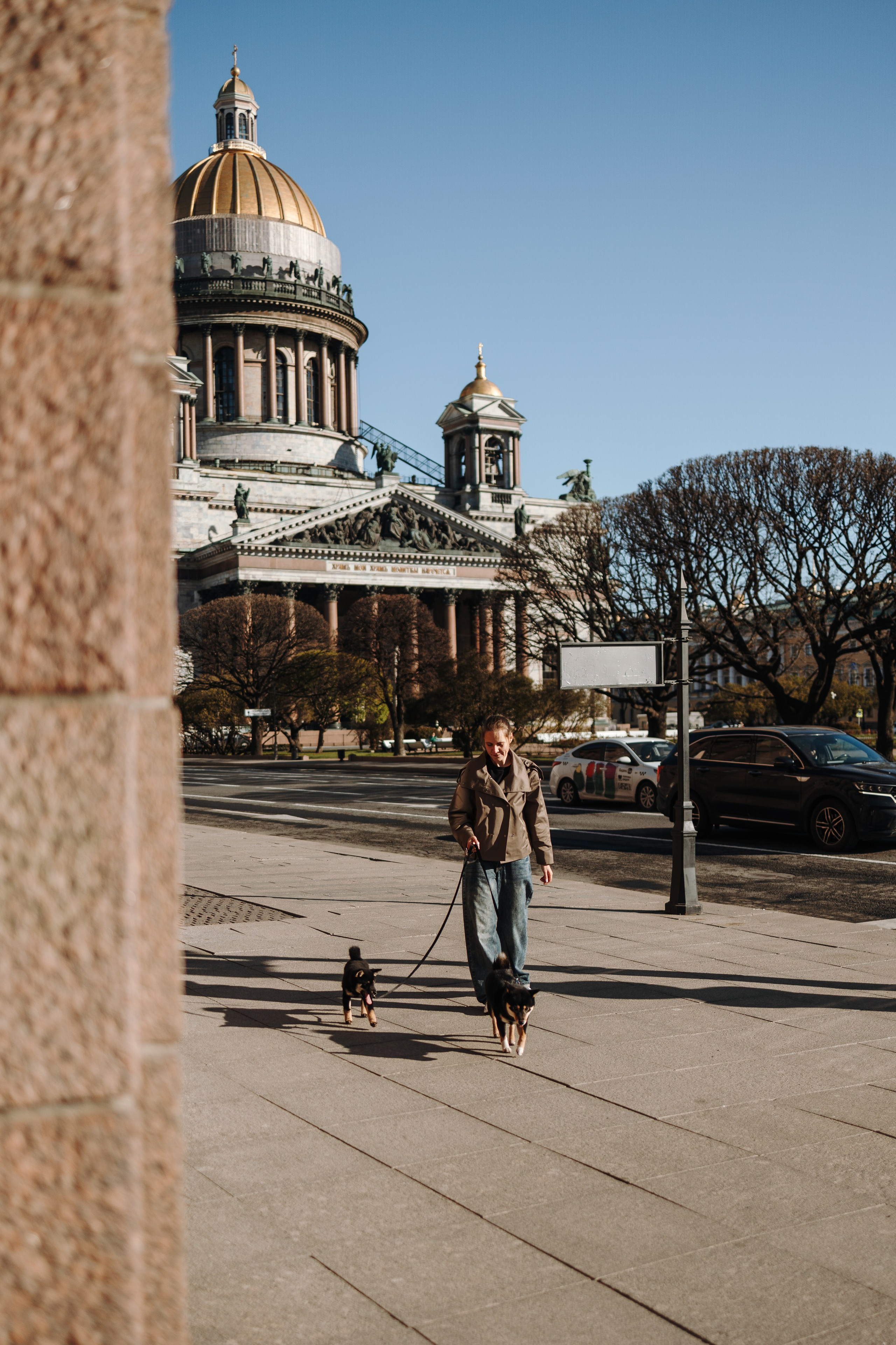 Даша и ее девочки. Фотограф — Анималист | Санкт-Петербург