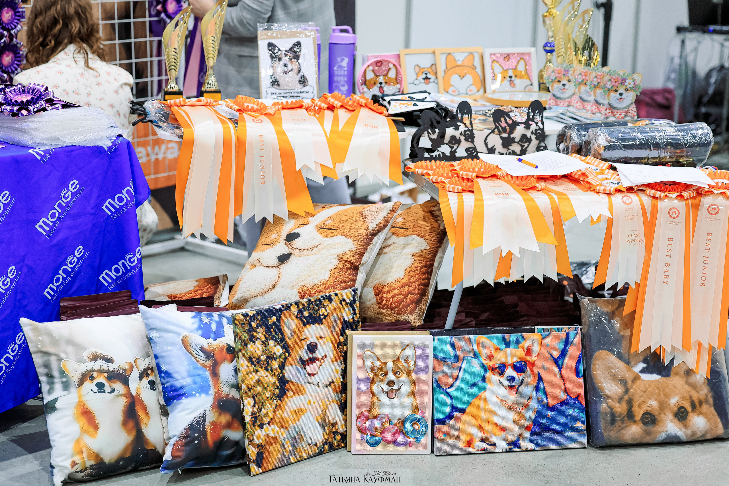 выставка собак в Новосибирске ABSOLUT WINNER-2026, Рейтинговая выставка собак