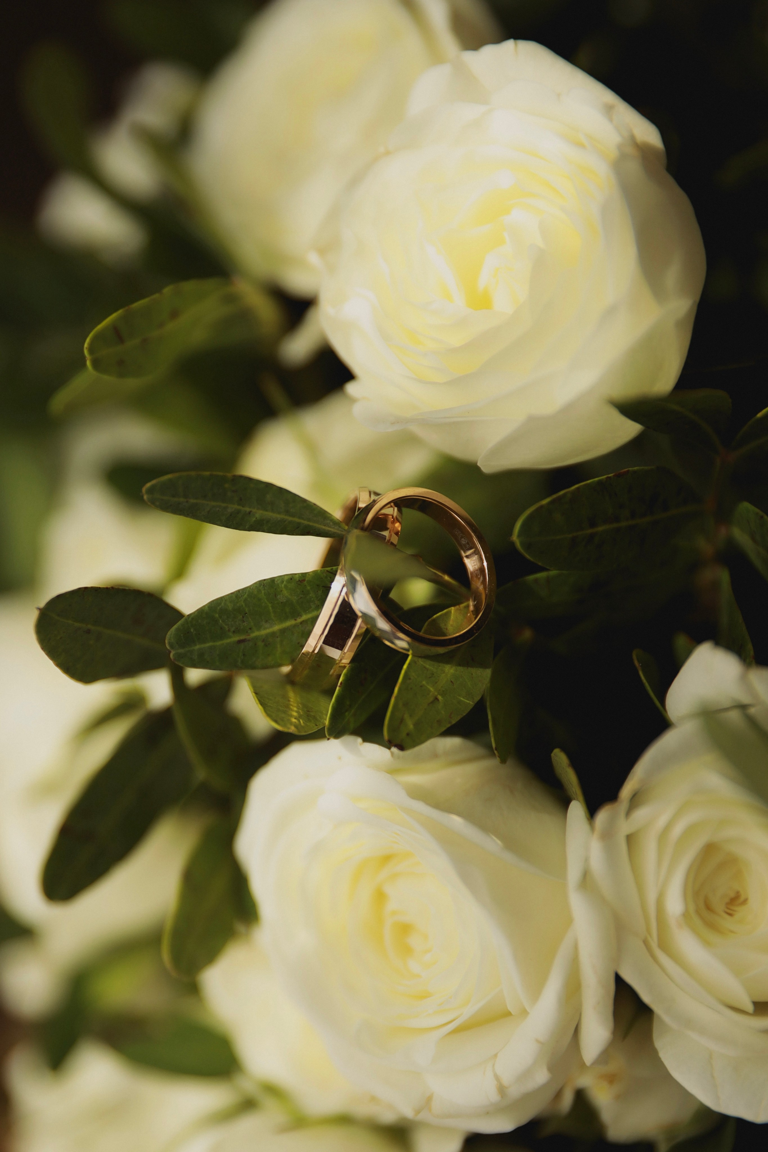 Люби меня, люби!. Семейный и свадебный фотограф Лилия Матонина | Ангарск, Иркутск, Усолье-Сибирское, Байкал (Листвянка, Ольхон), Иркутская область