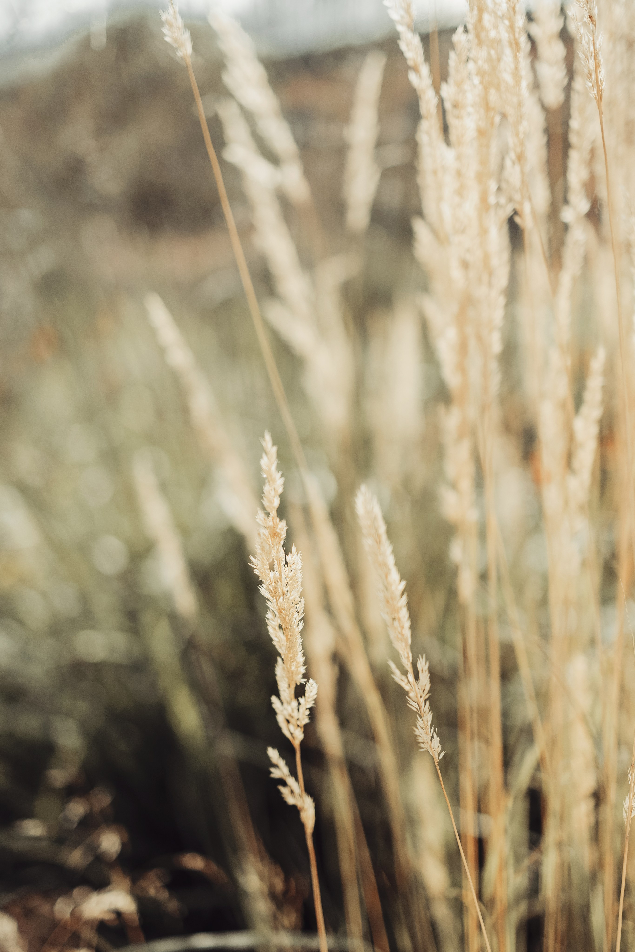 Street photo. Photographer in Turkey — Dari N