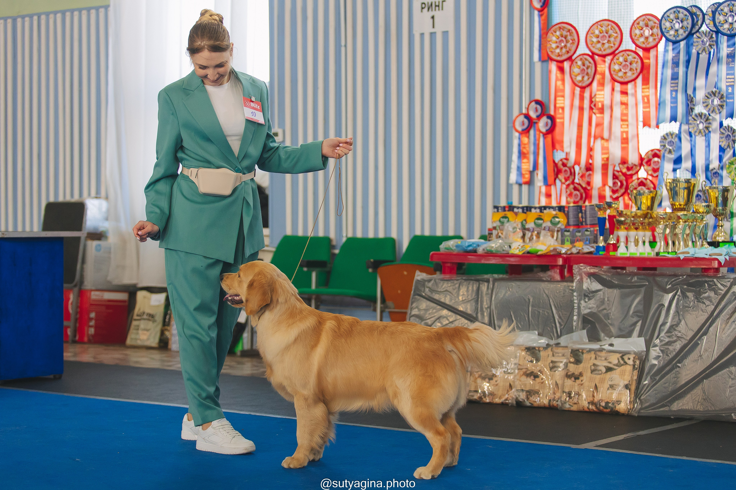 2024.03.10 Монопородная выставка золотистых ретриверов. Свадебный и женский фотограф