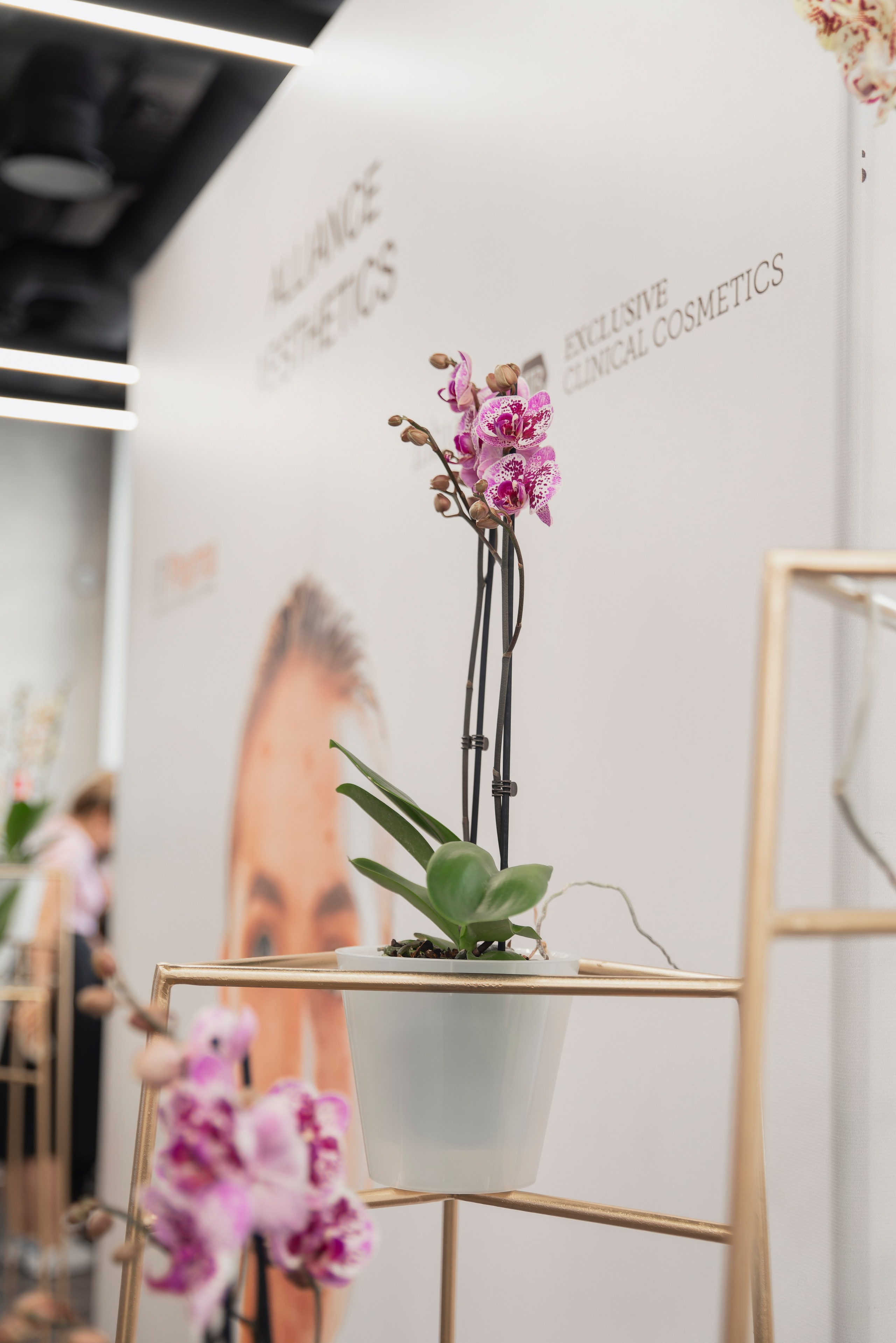 Репортаж. Фотограф Москва Софа Ревчук