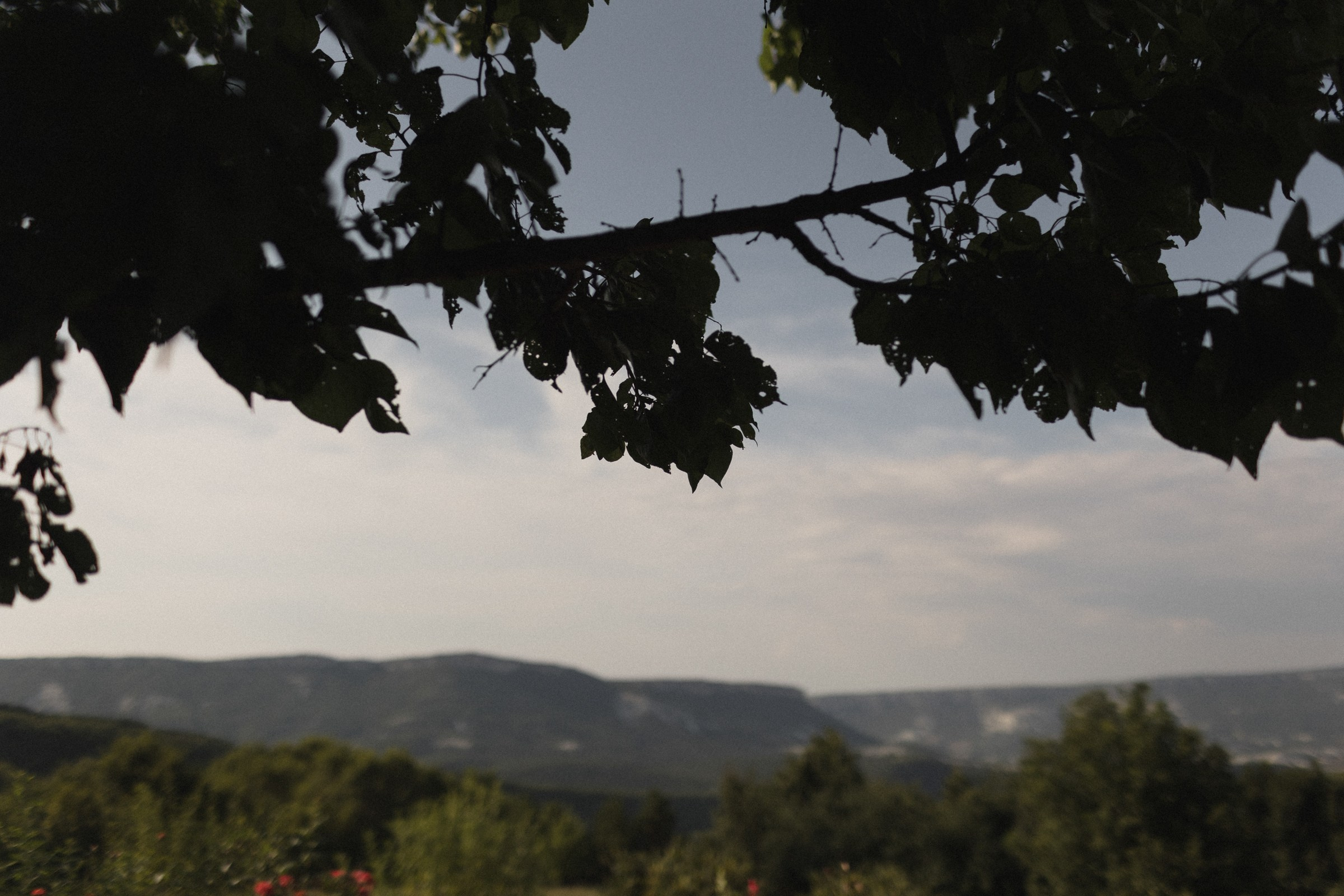 Ты-семья. Sovushka DS