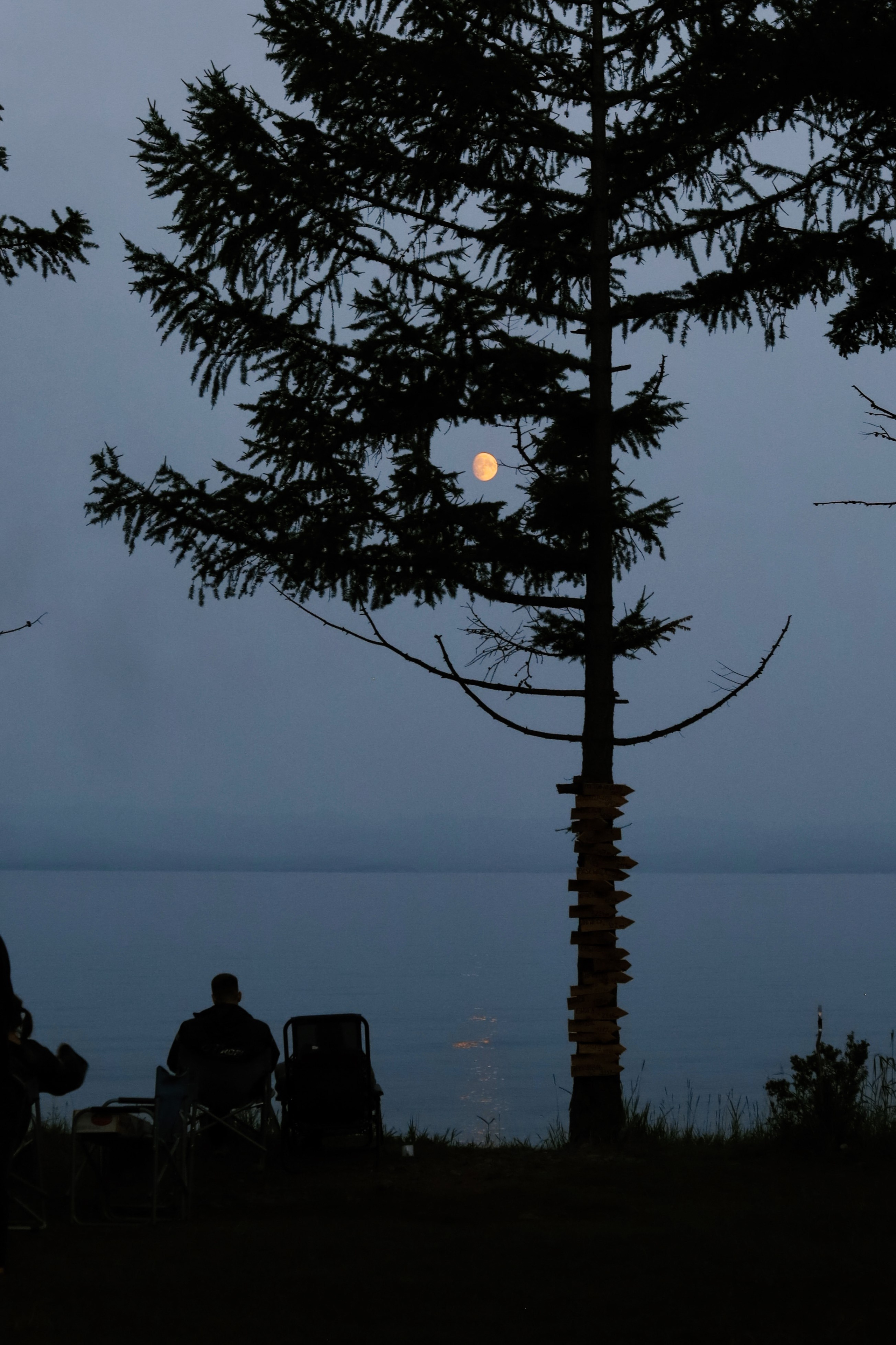 Лето 2024 / палатки. 1642 — первый лагерь для взрослых на Байкале