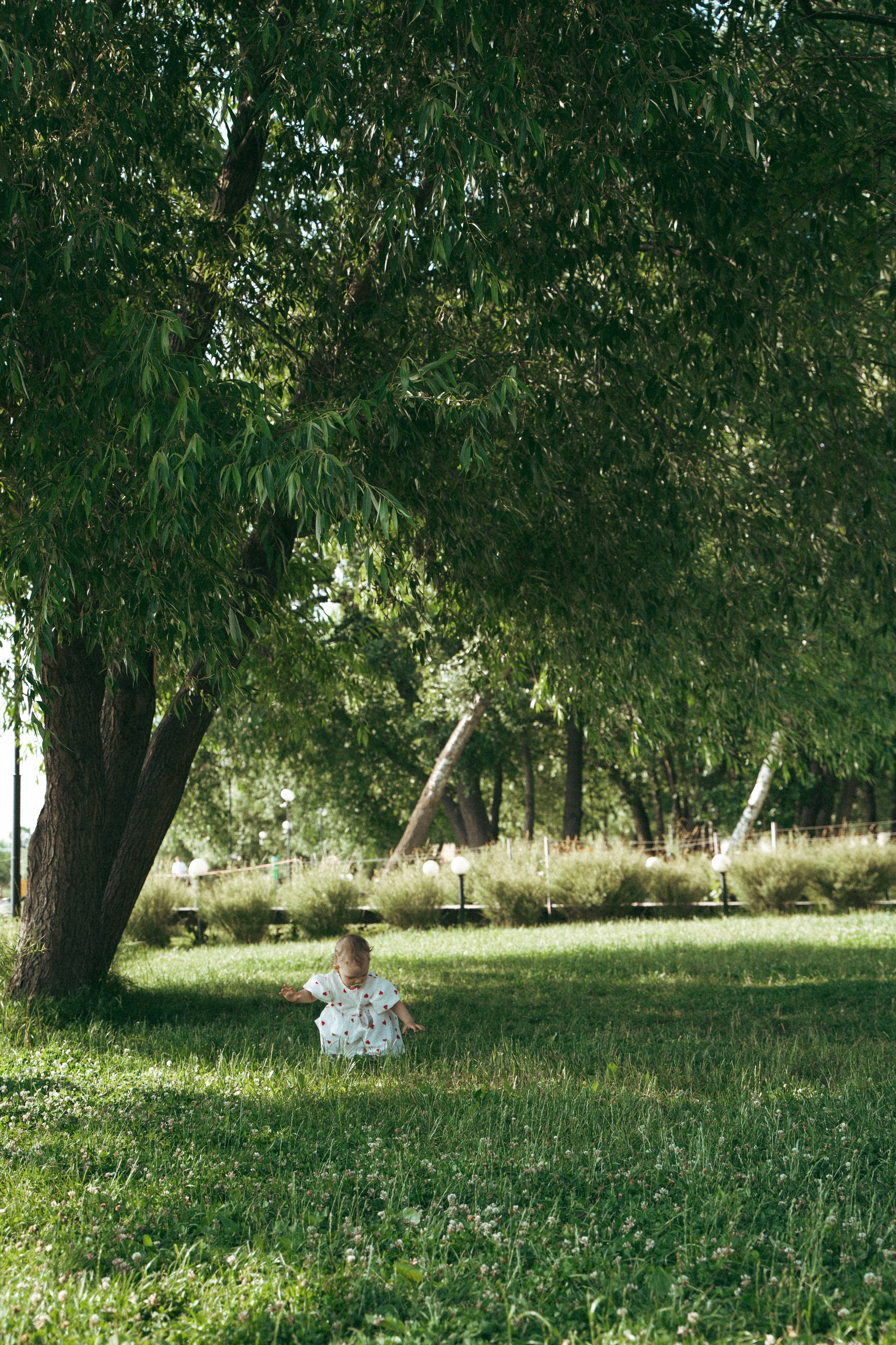Дельфин парк. Фотограф Мария Зайчик