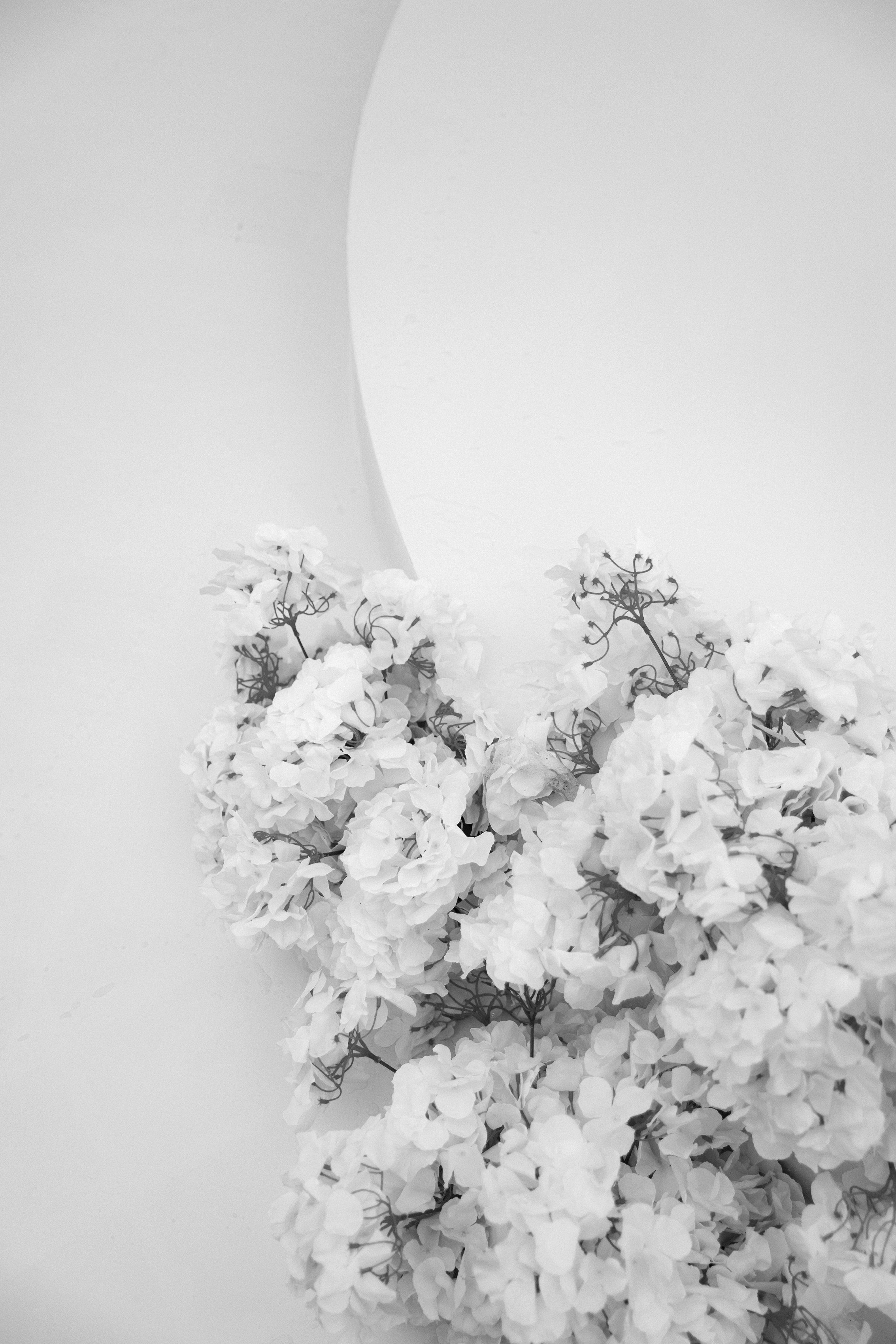 СВАДЕБНЫЕ СЕРИИ. Свадебный Фотограф Толстой Константин