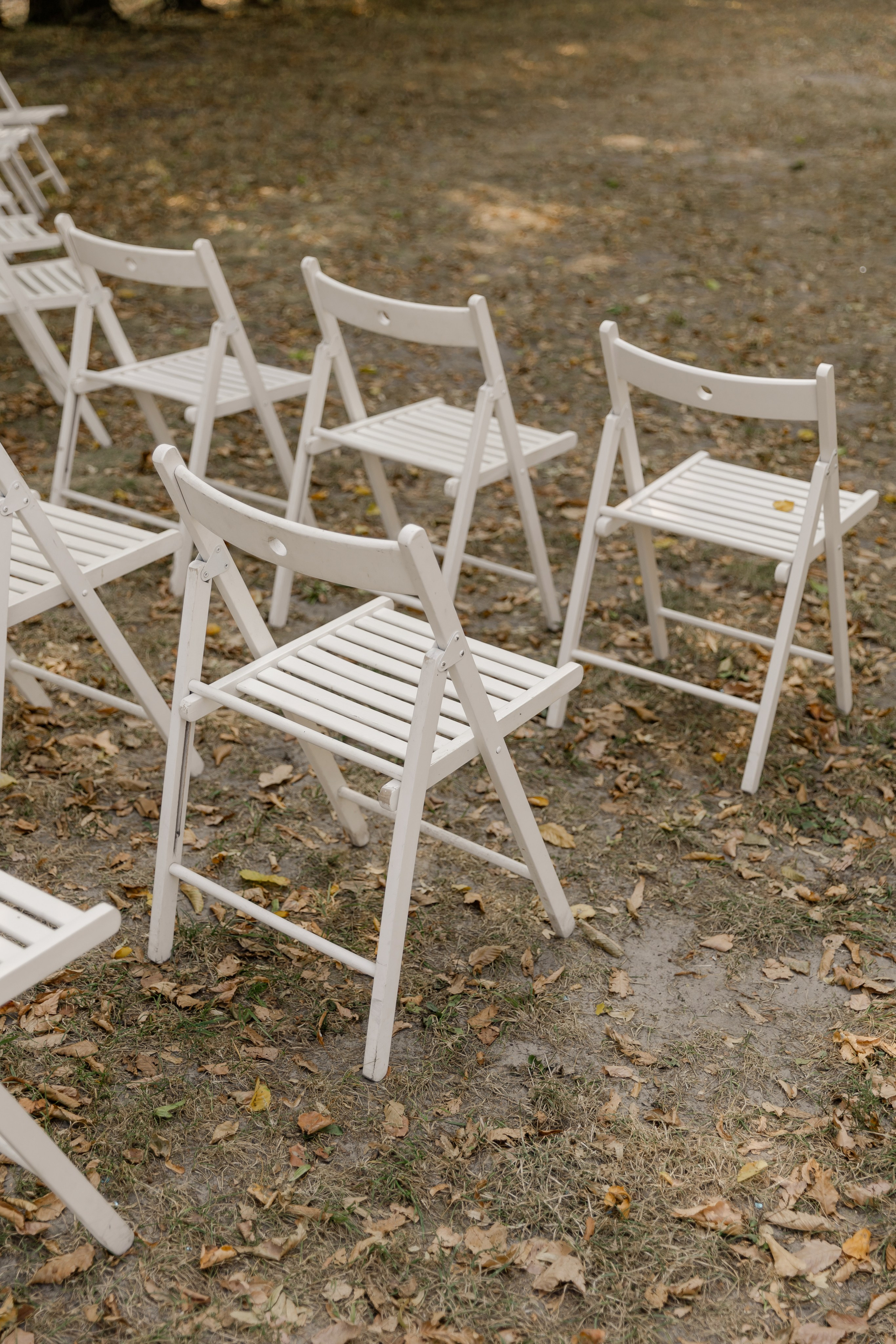 Виноградники. Dima Lemeshevsky