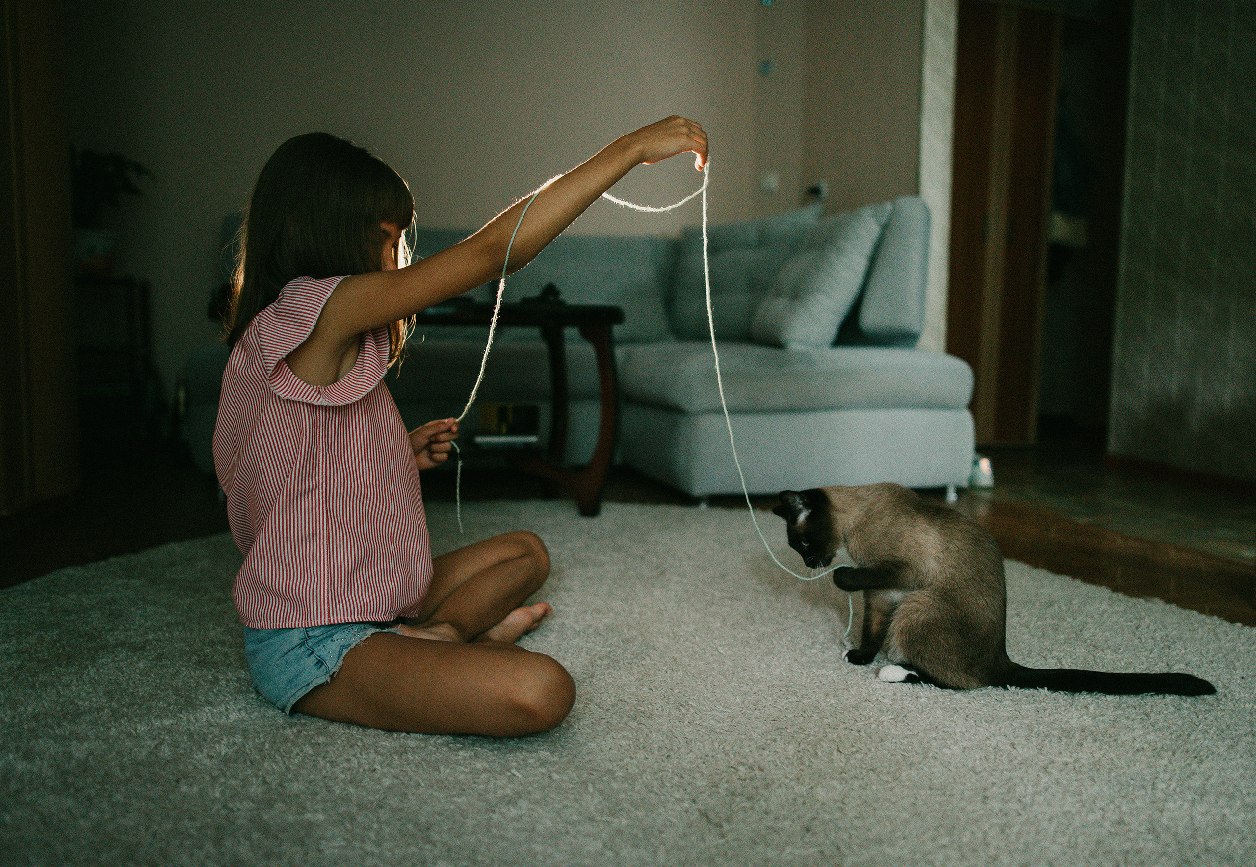 Немного про кошку. Семейный фотограф Островская Альбина г. Мирный Саха (Якутия)