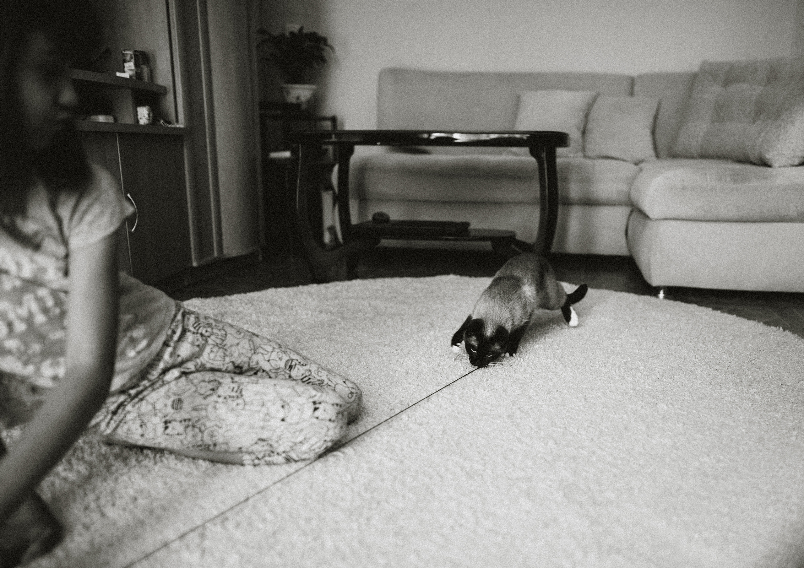 Немного про кошку. Семейный фотограф Островская Альбина г. Мирный Саха (Якутия)