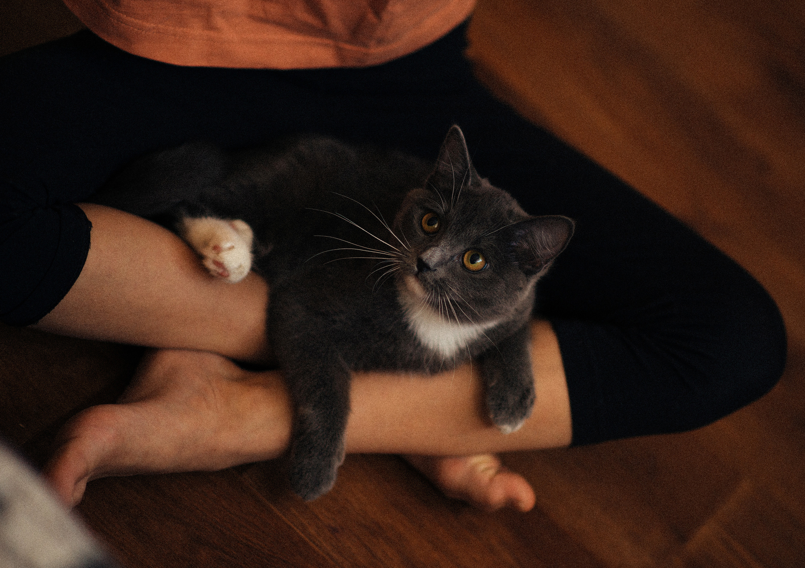 Мои. Семейный фотограф Островская Альбина г. Мирный Саха (Якутия)